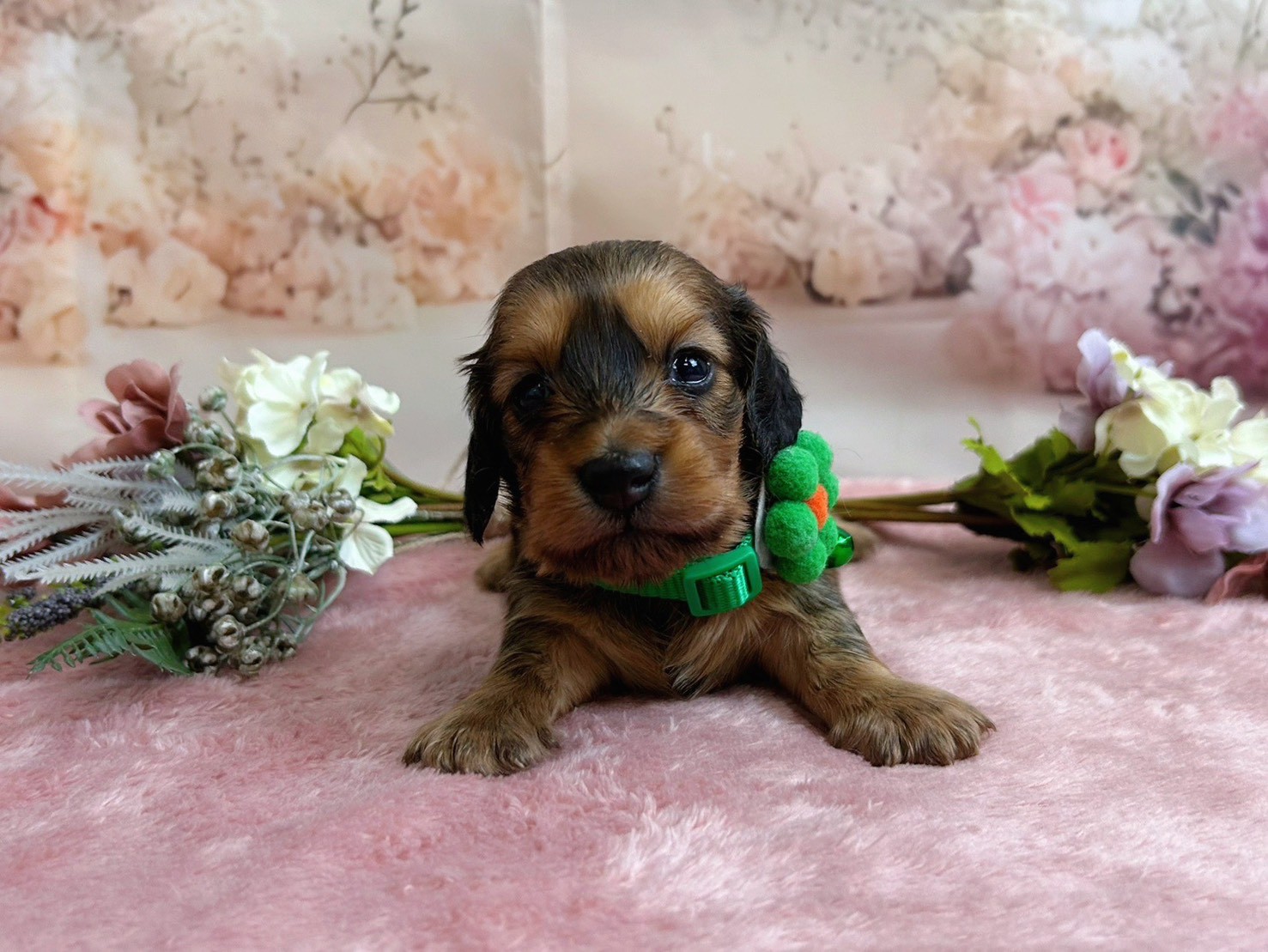 赤ちゃん写真2-1