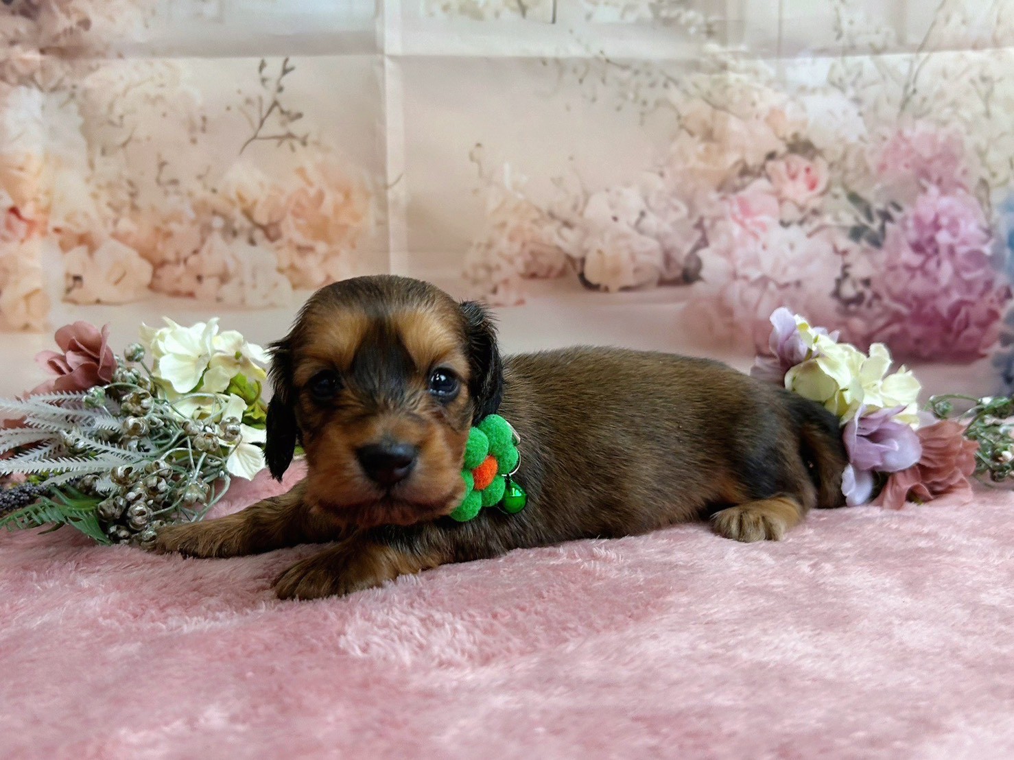 赤ちゃん写真2-2