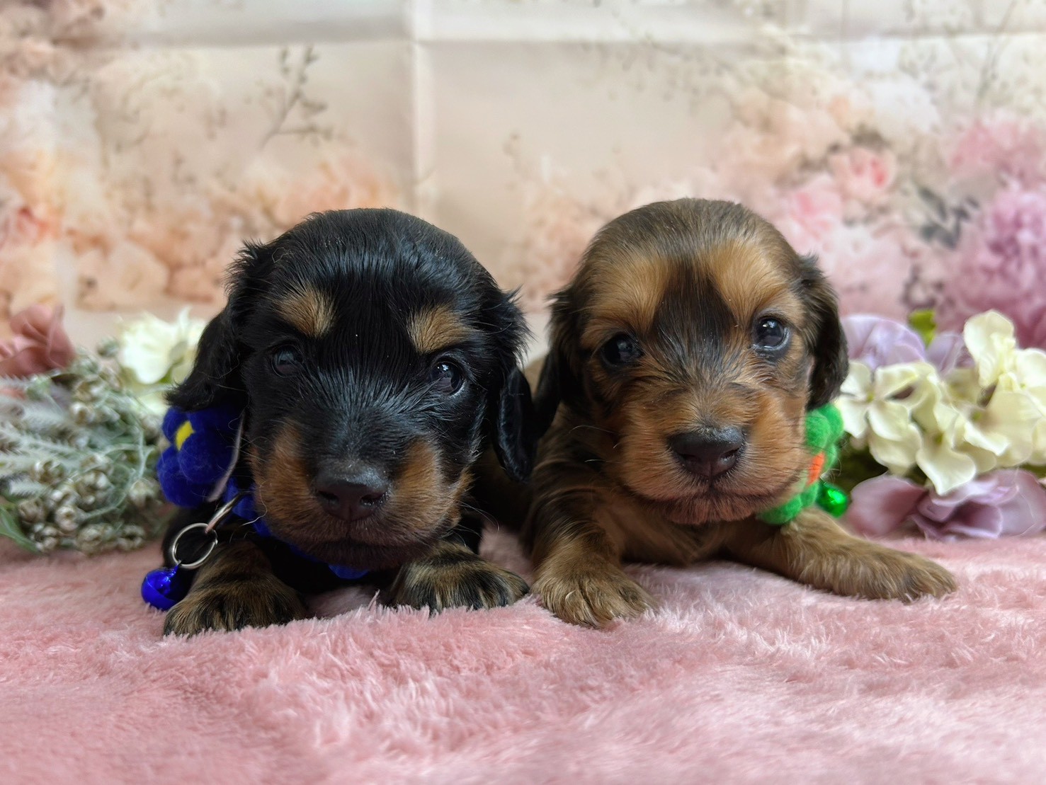 赤ちゃん写真2-3