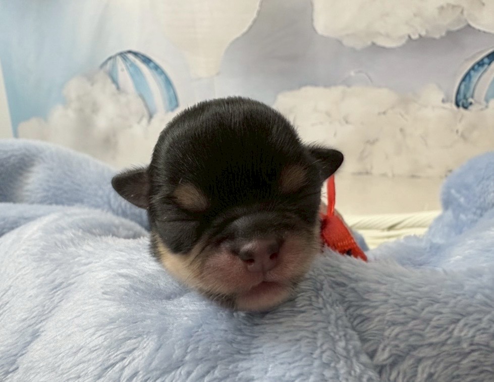 赤ちゃん写真1-1