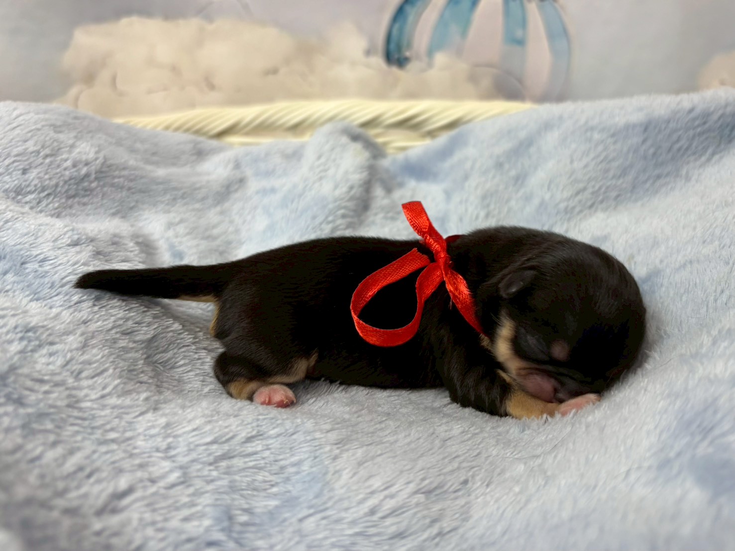 赤ちゃん写真1-2