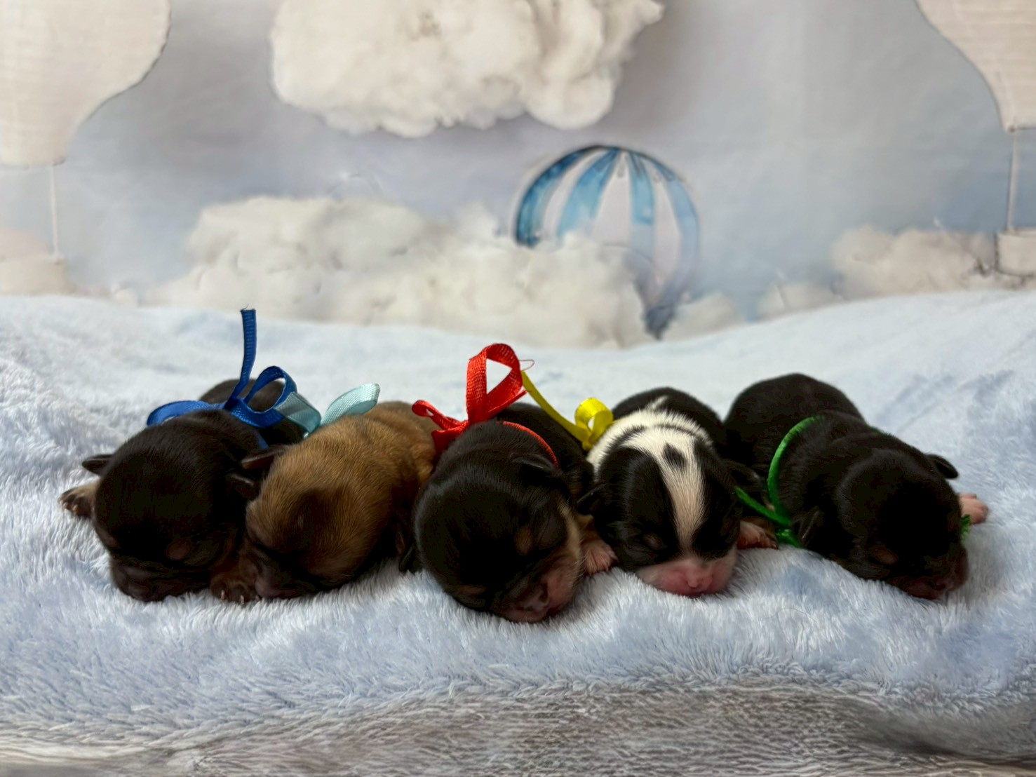 赤ちゃん写真1-3