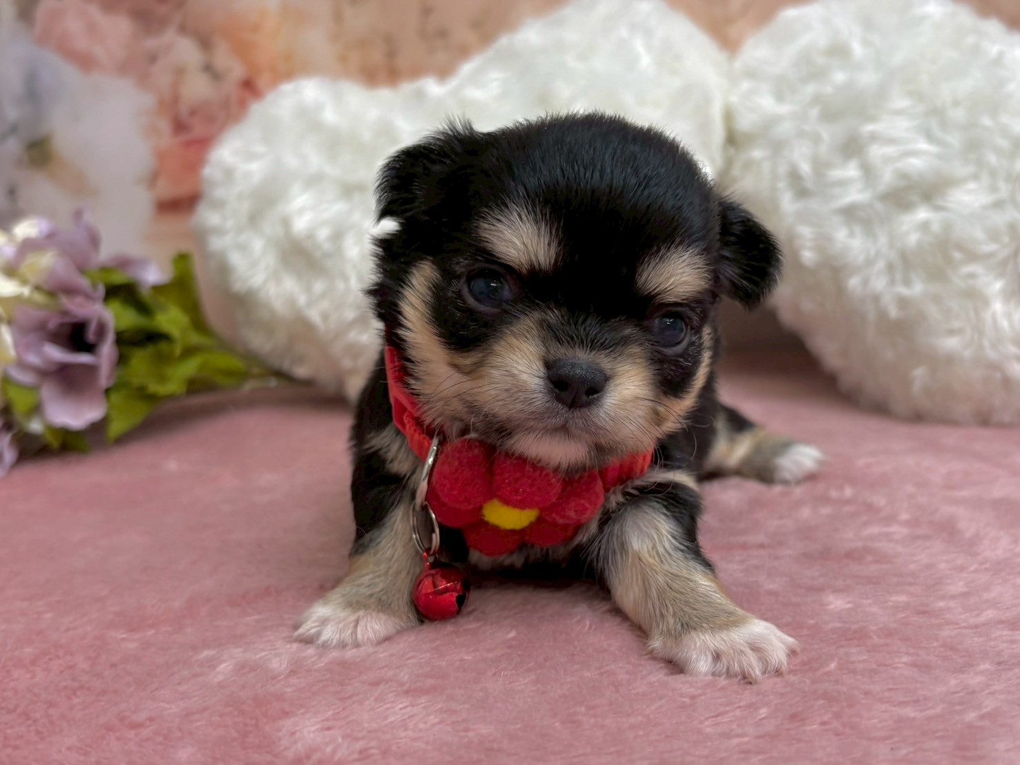 赤ちゃん写真2-1