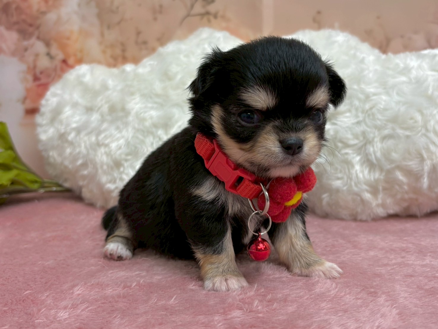 赤ちゃん写真2-2