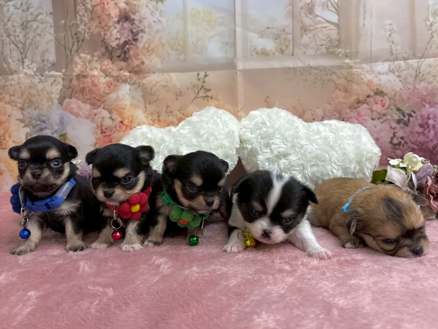 赤ちゃん写真2-3