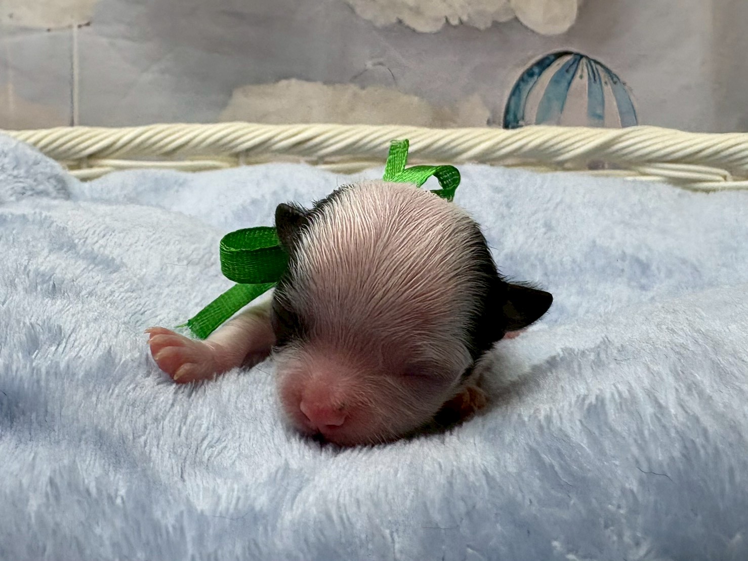 赤ちゃん写真1-1