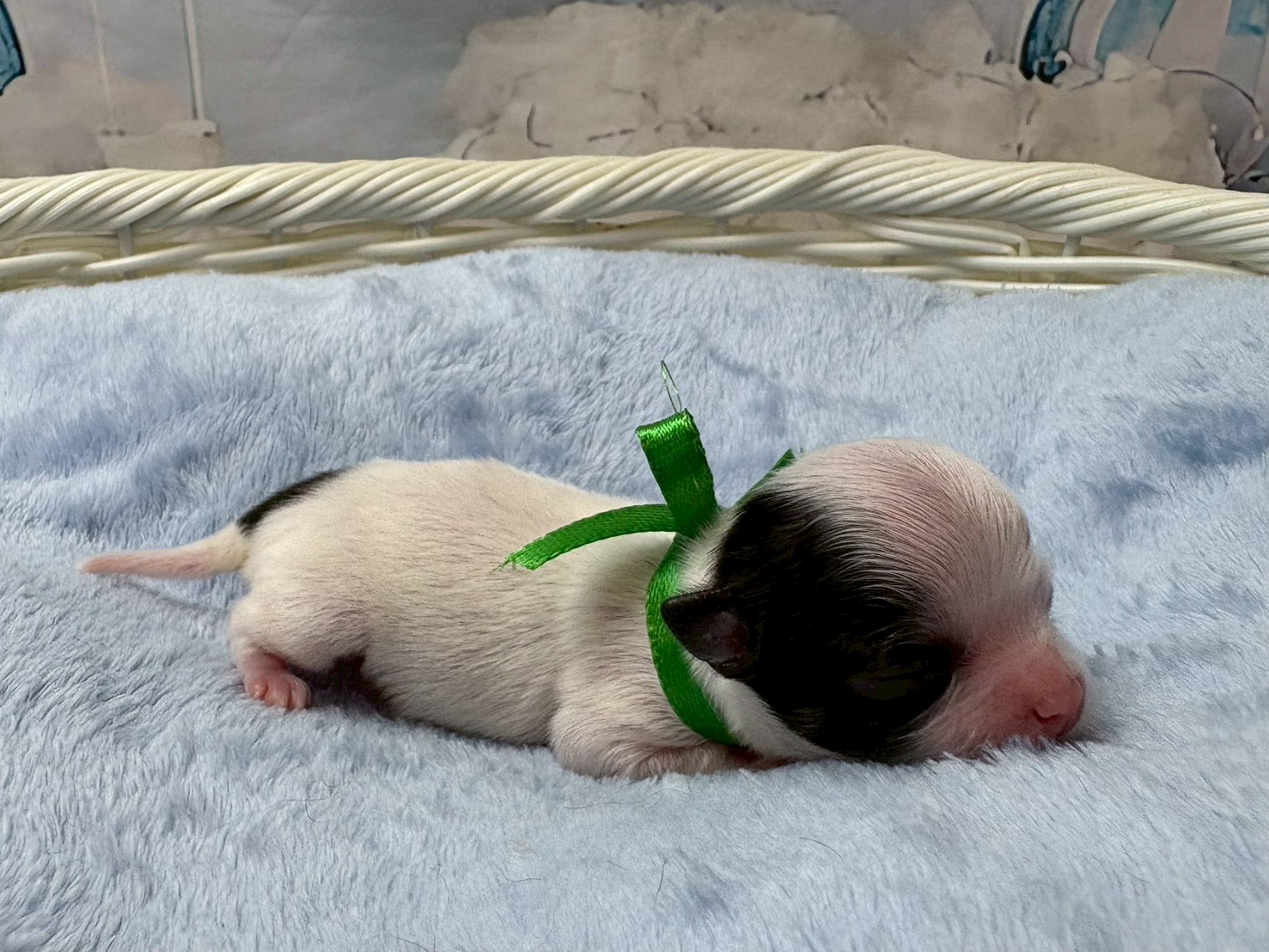 赤ちゃん写真1-2