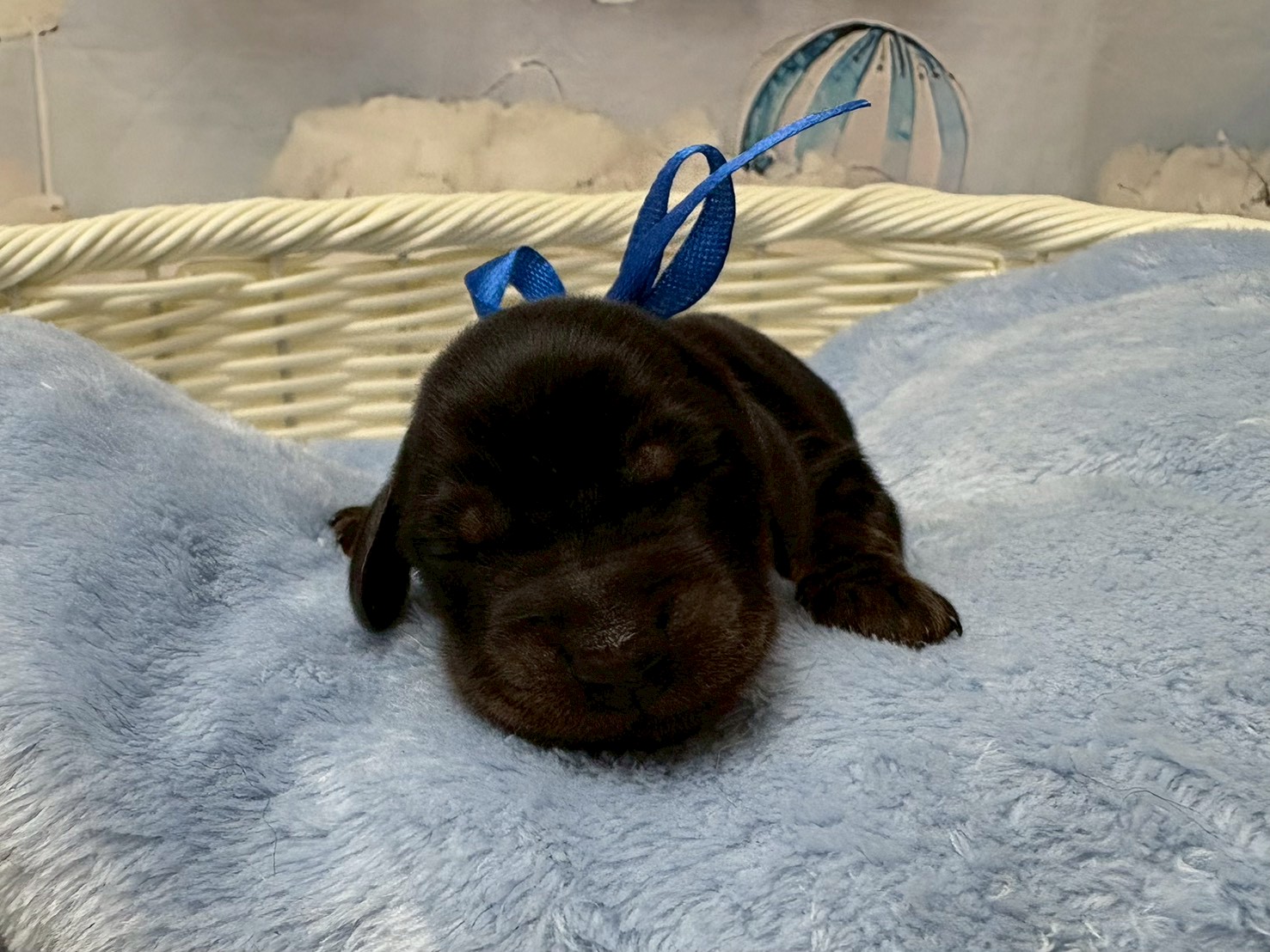 赤ちゃん写真1-1