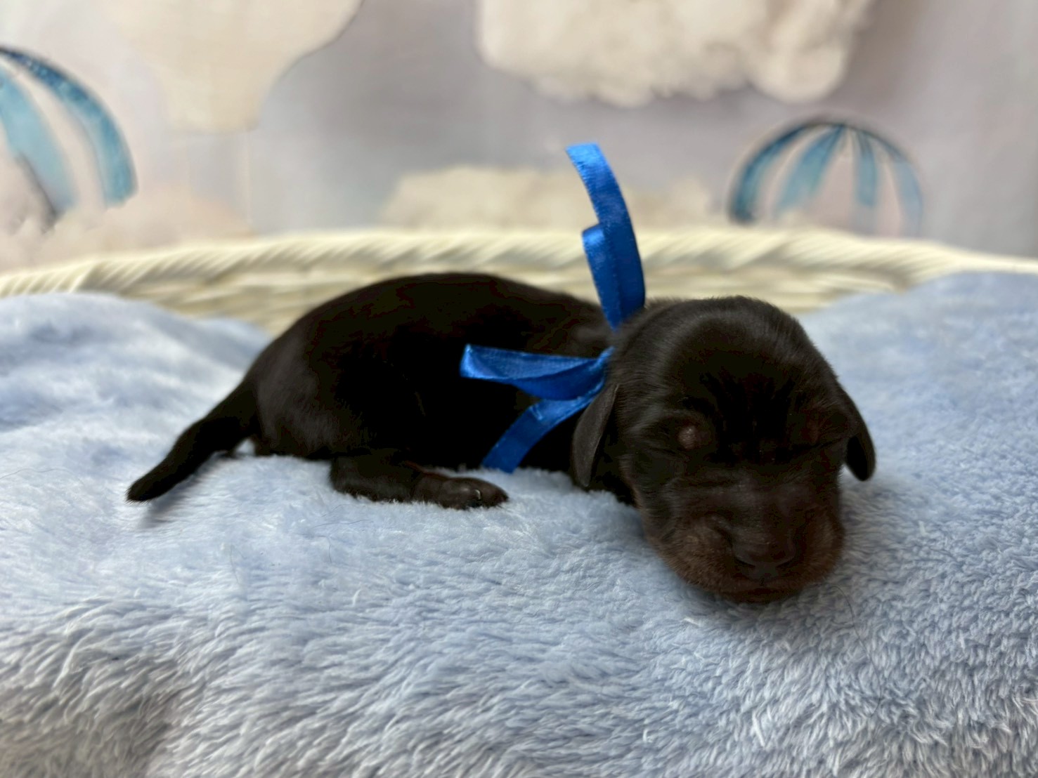 赤ちゃん写真1-2