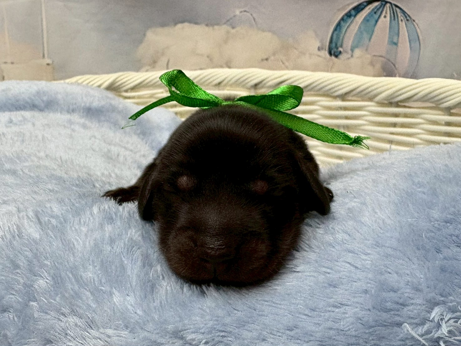 赤ちゃん写真1-1