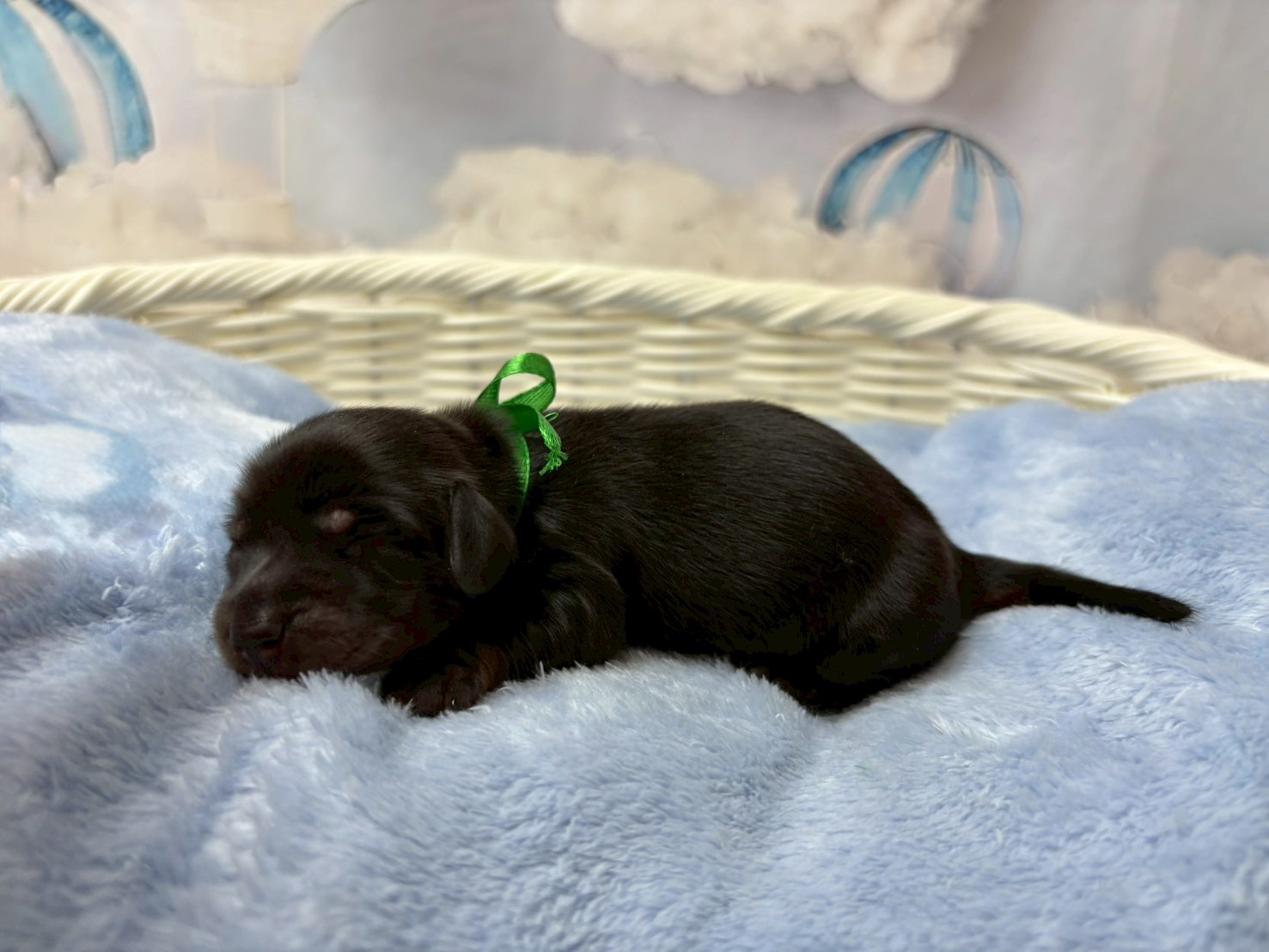 赤ちゃん写真1-2