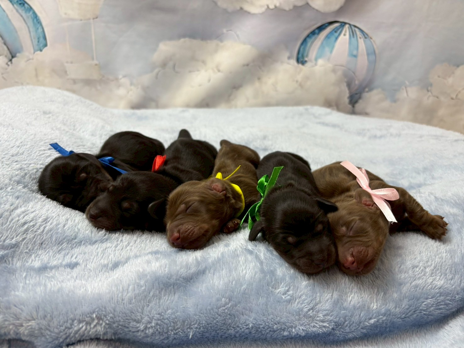 赤ちゃん写真1-3