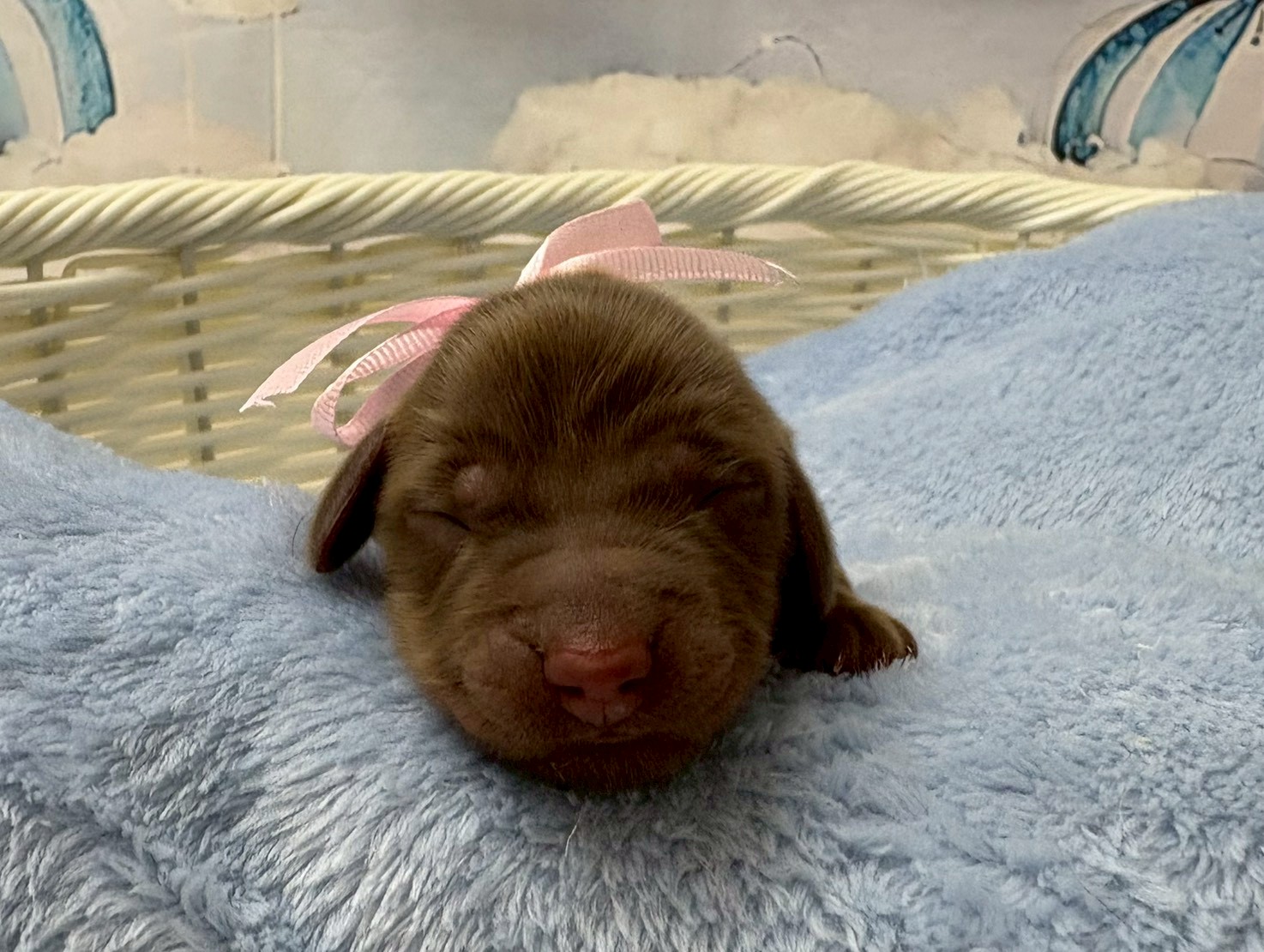 赤ちゃん写真1-1