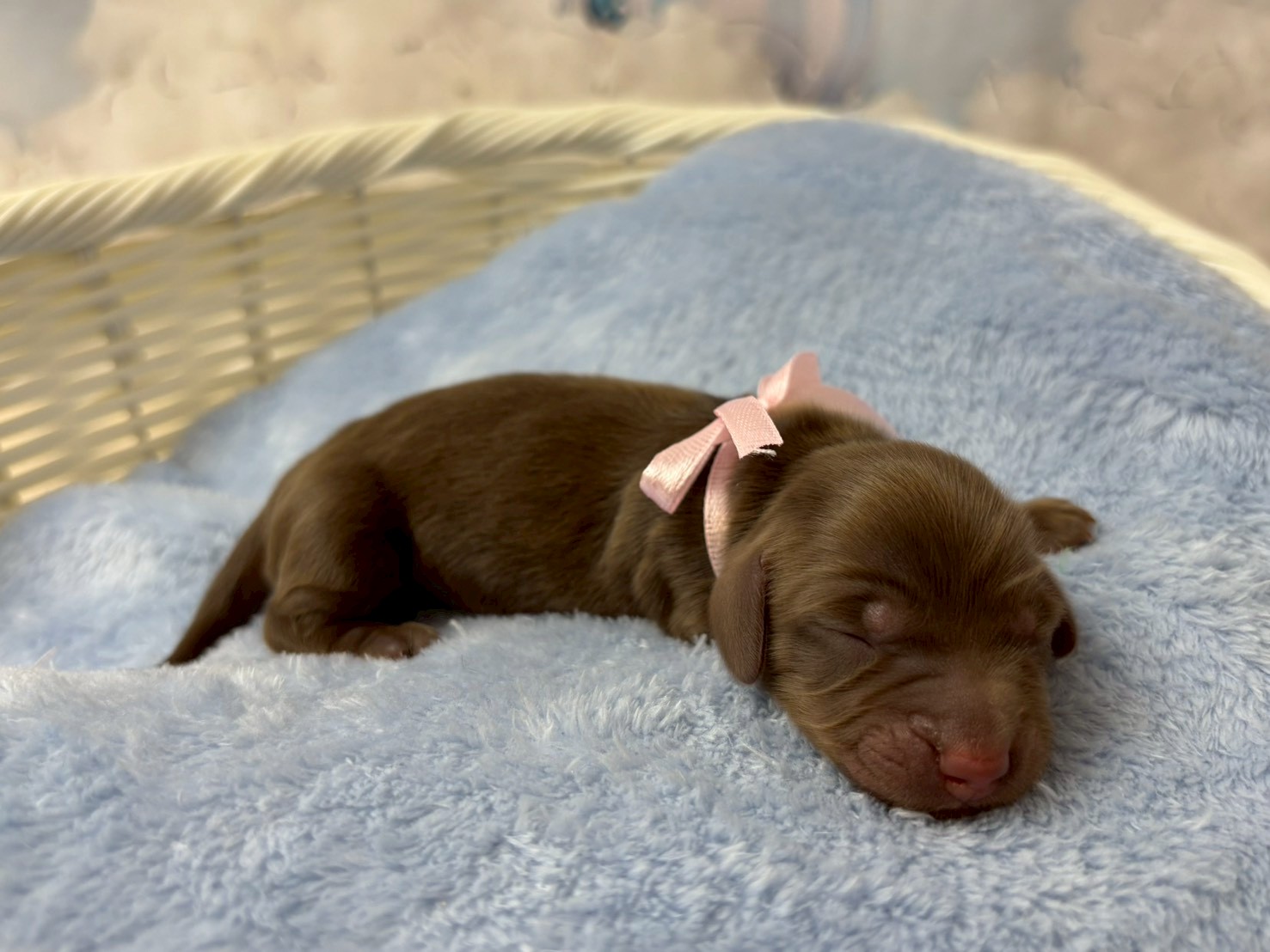 赤ちゃん写真1-2