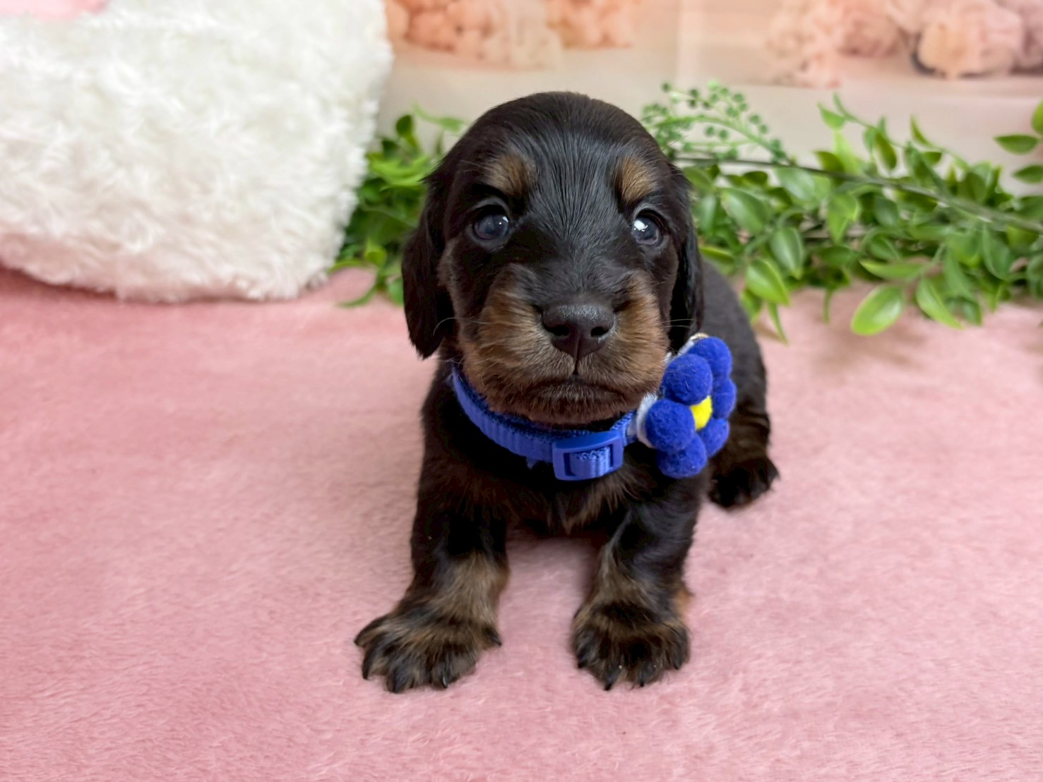 赤ちゃん写真2-1