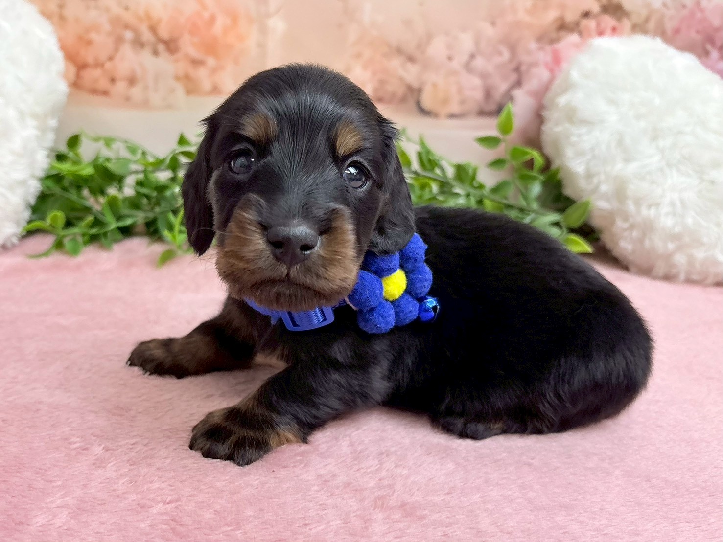 赤ちゃん写真2-2