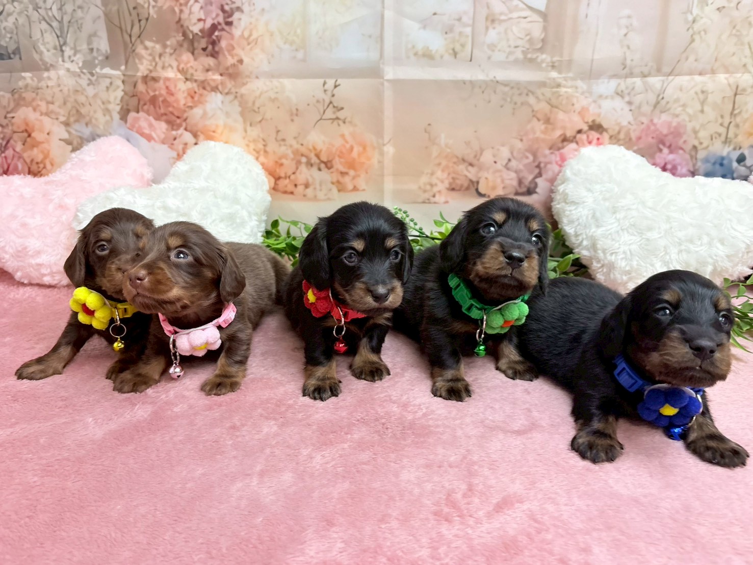 赤ちゃん写真2-3