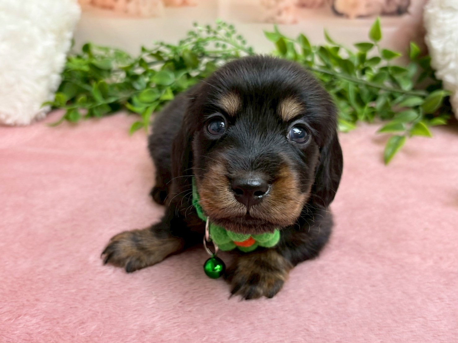 赤ちゃん写真2-1