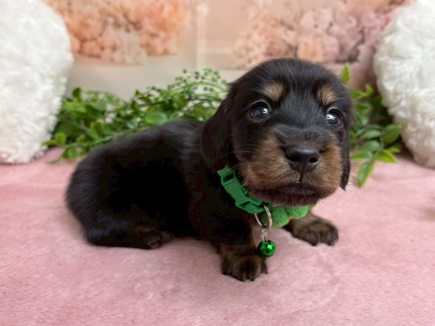 赤ちゃん写真2-2