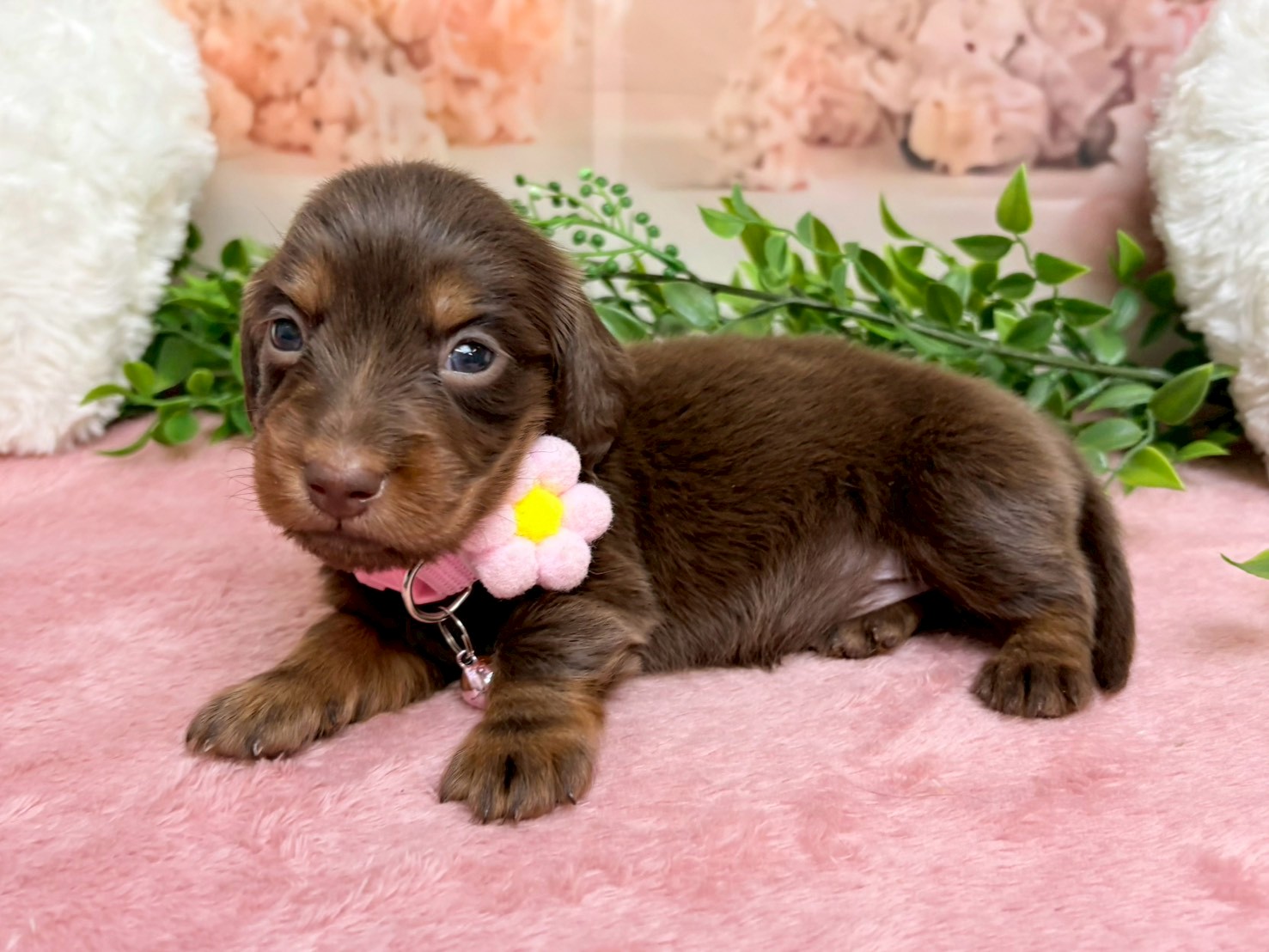 赤ちゃん写真2-2