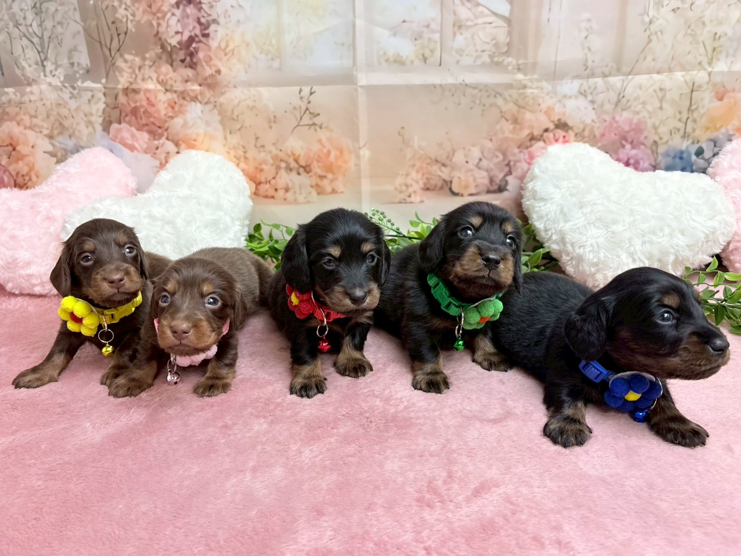 赤ちゃん写真2-3