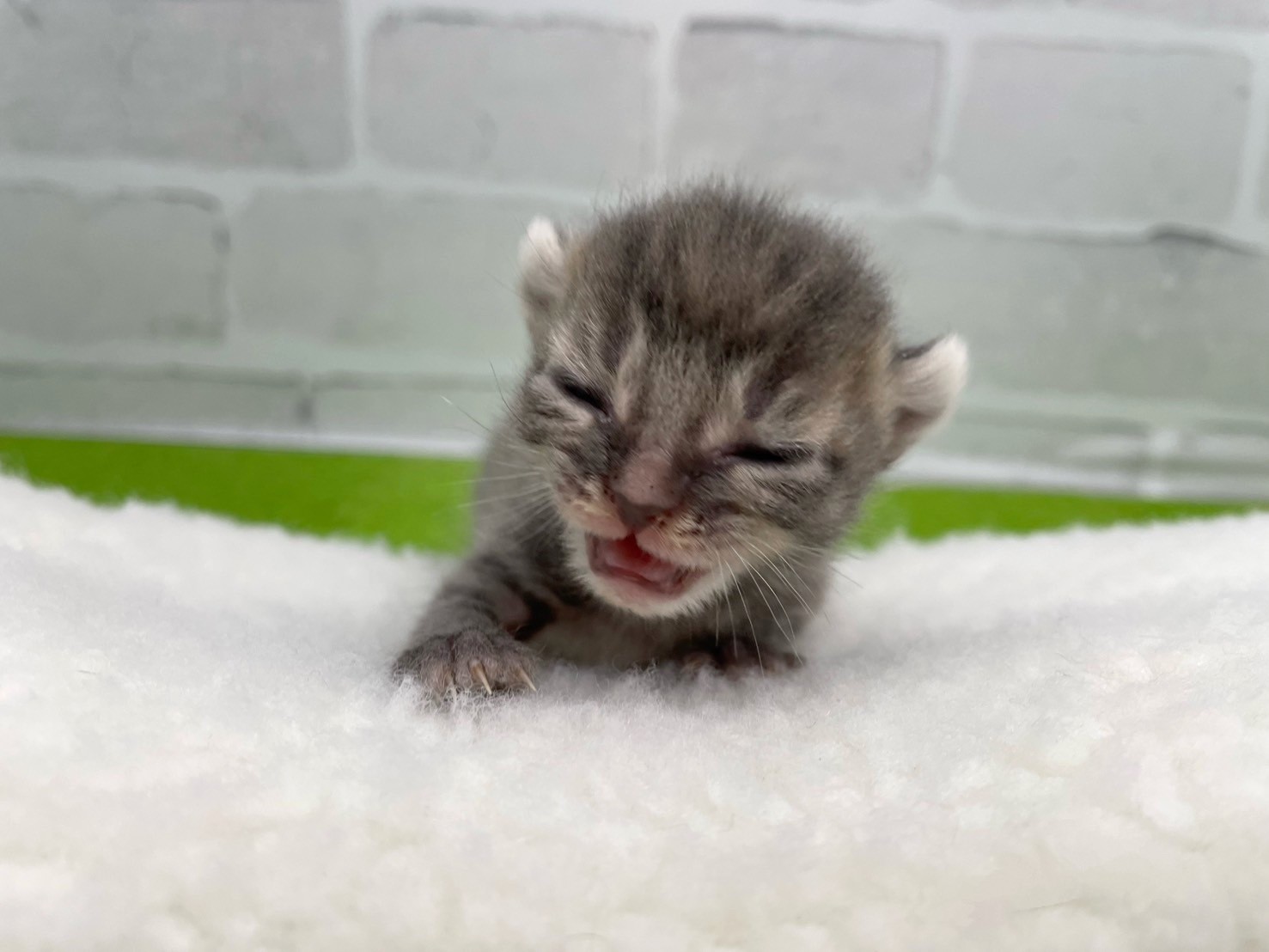 赤ちゃん写真1-1