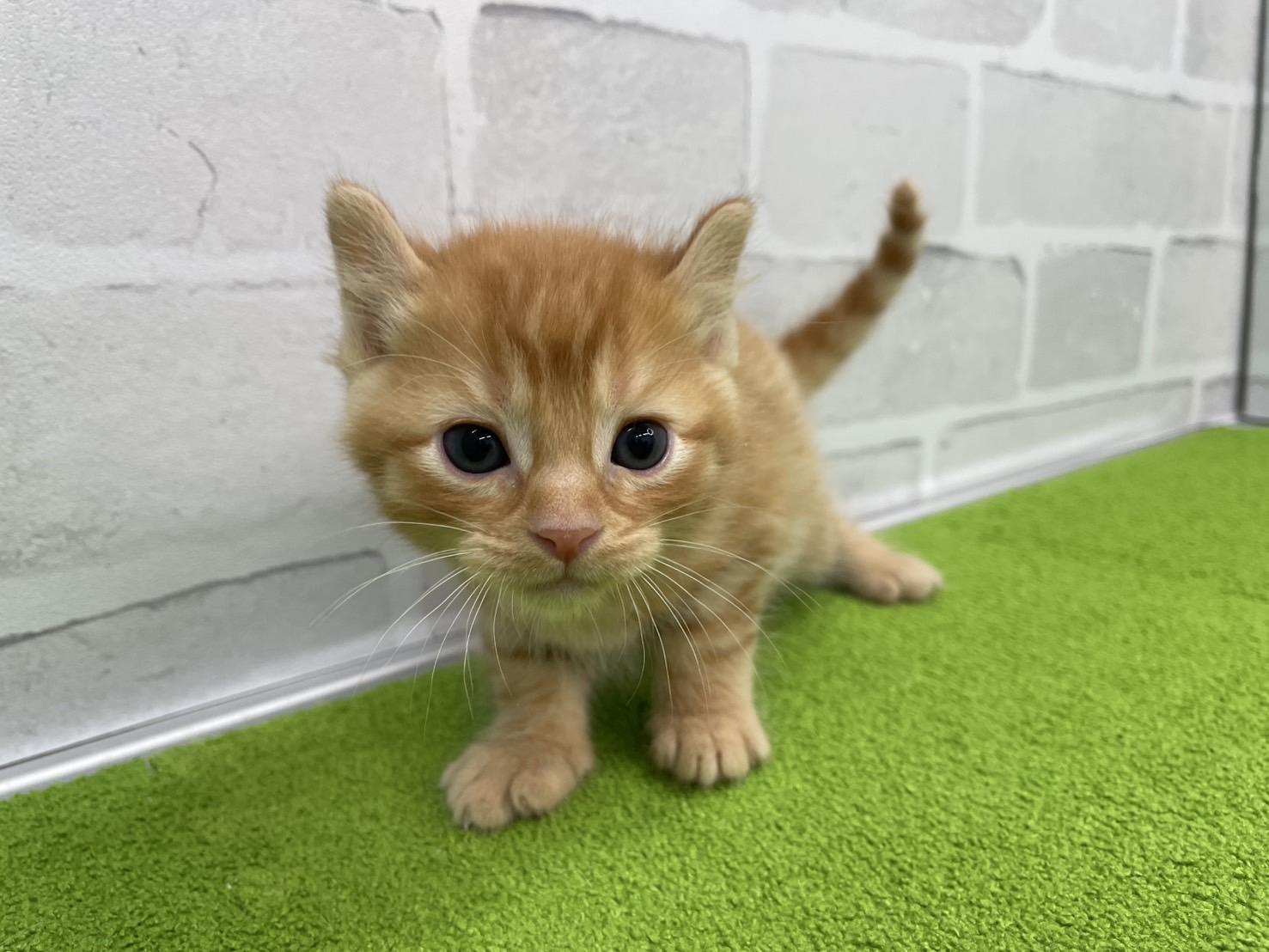 赤ちゃん写真2-1