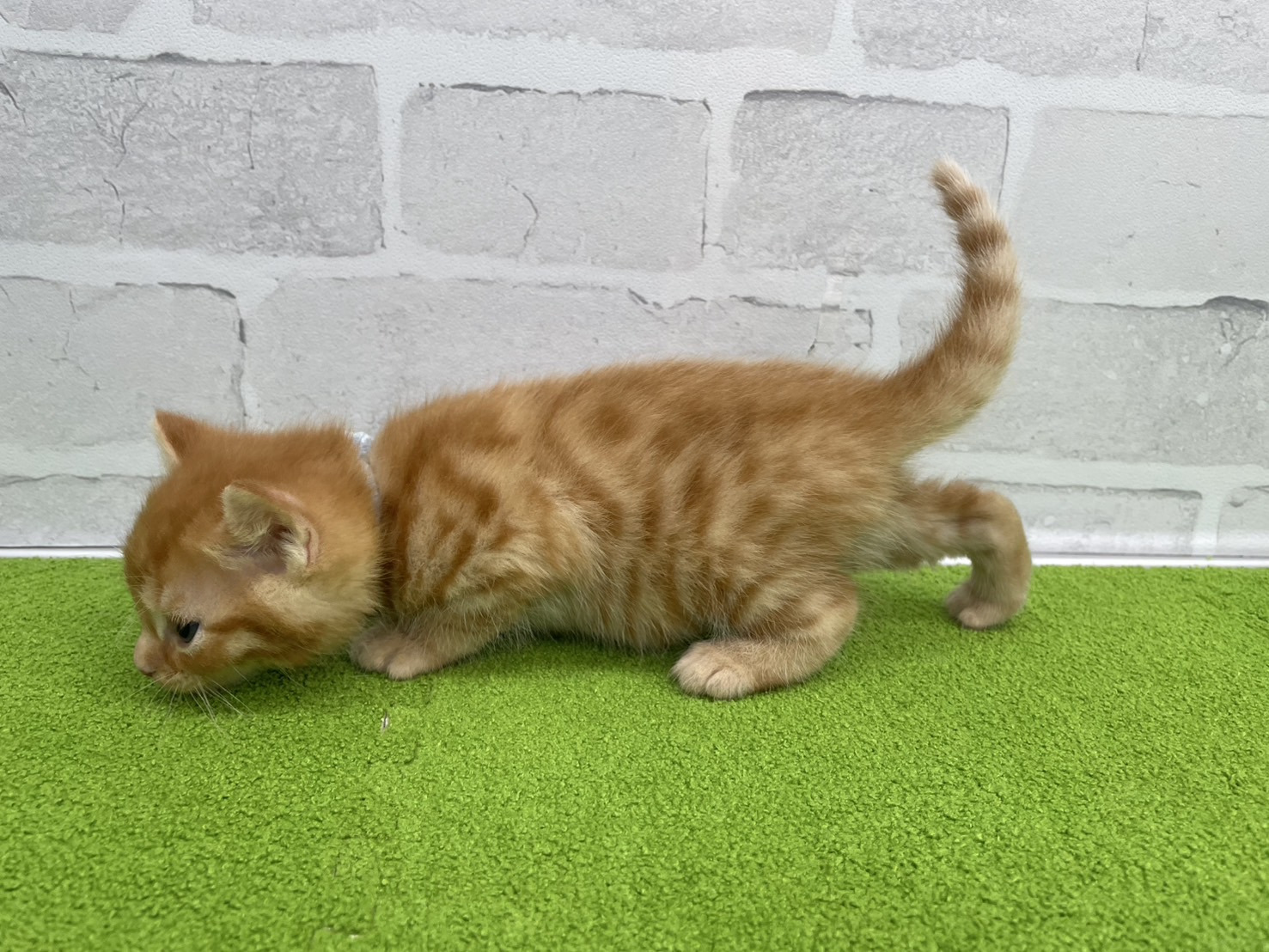 赤ちゃん写真2-2