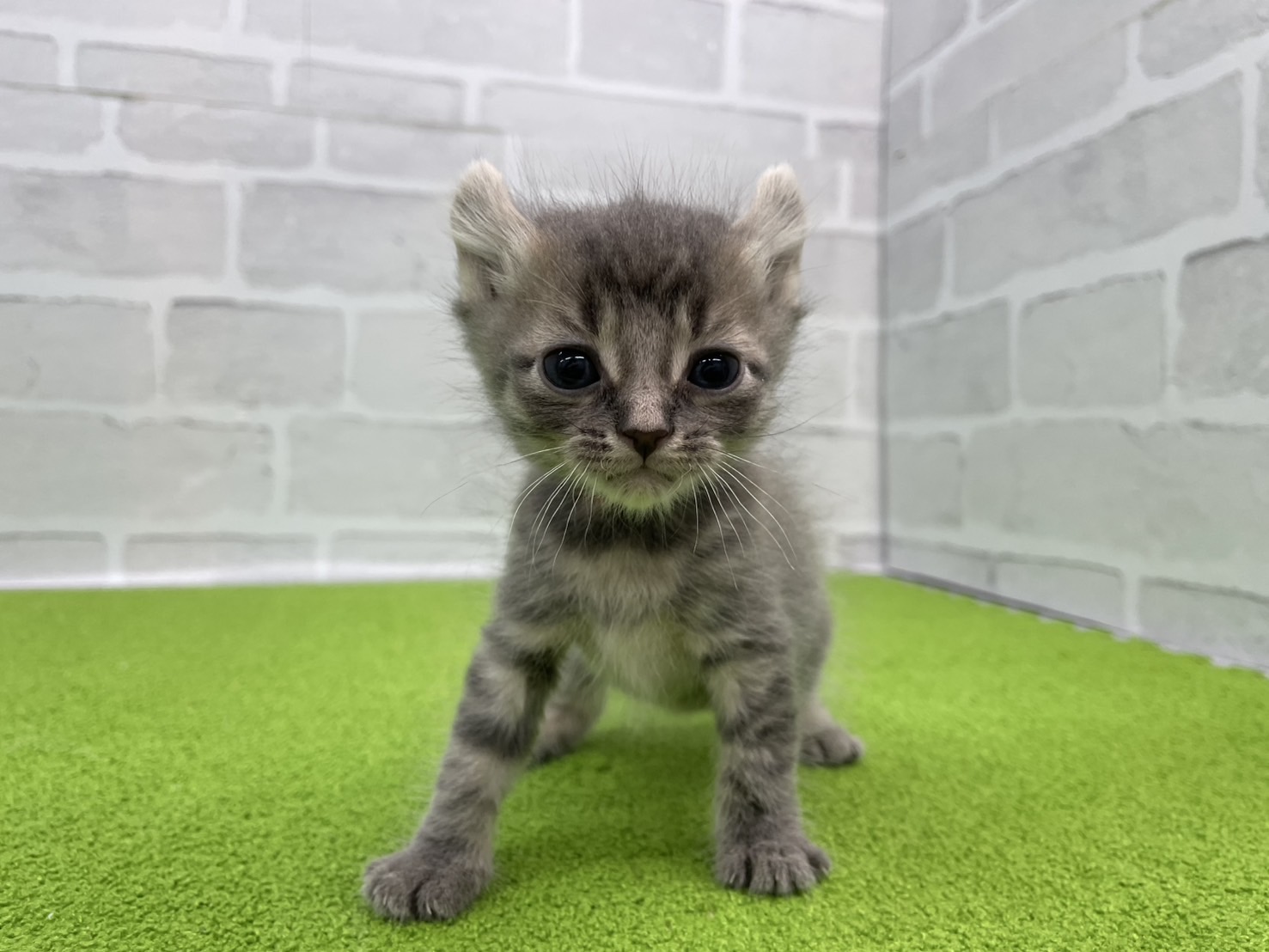 赤ちゃん写真2-1