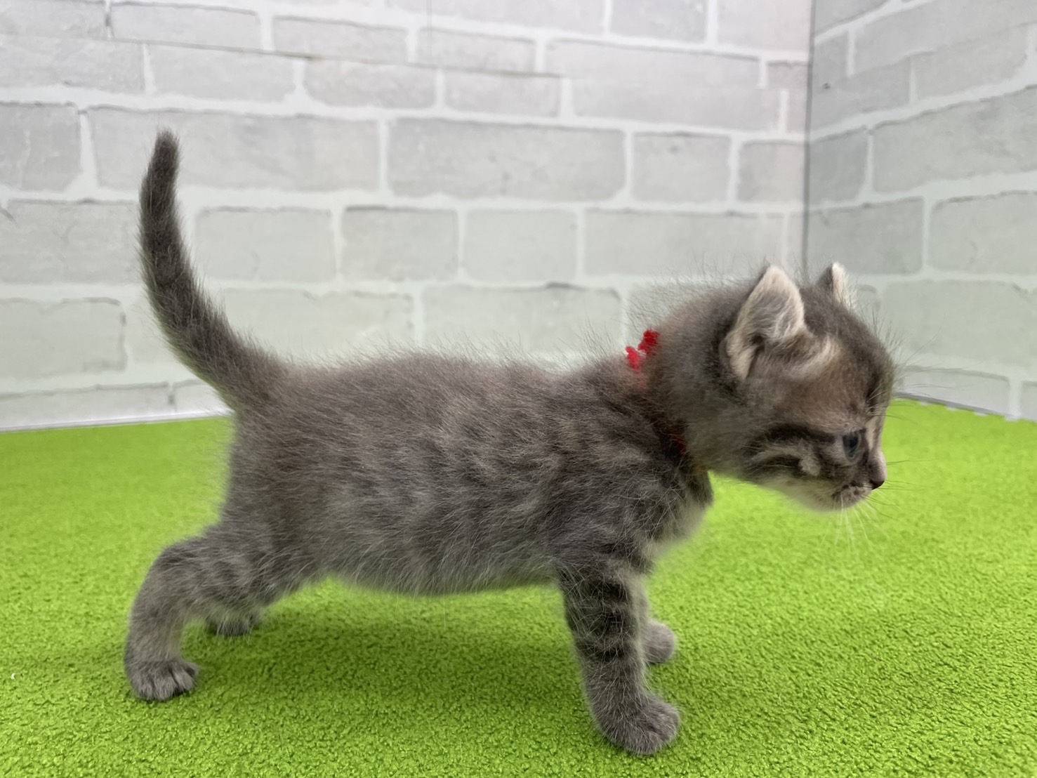赤ちゃん写真2-2