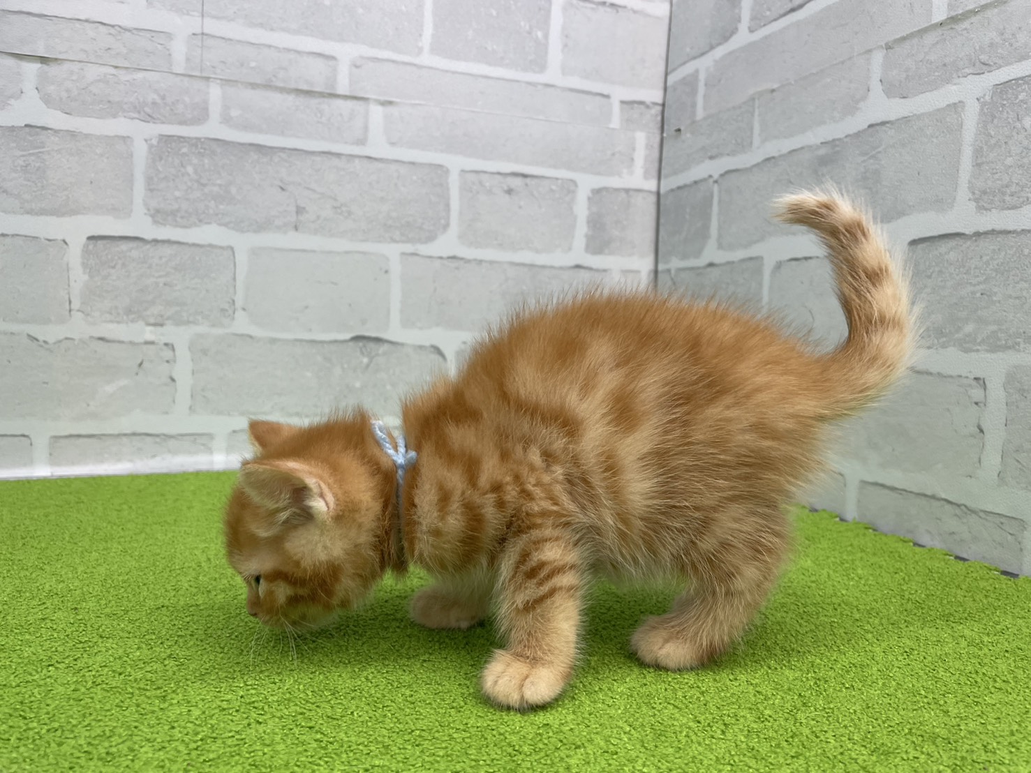 赤ちゃん写真3-2