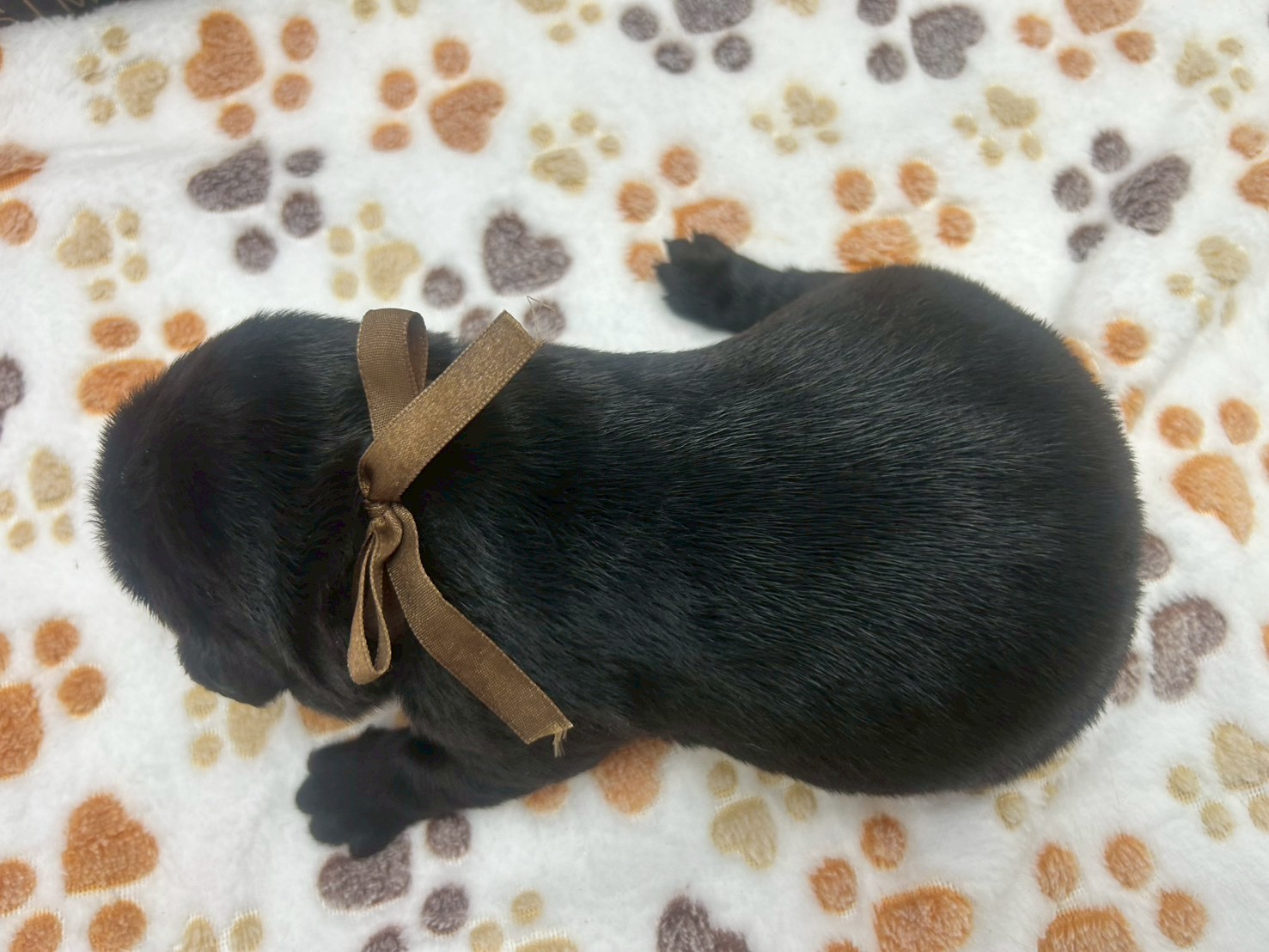 赤ちゃん写真1-3