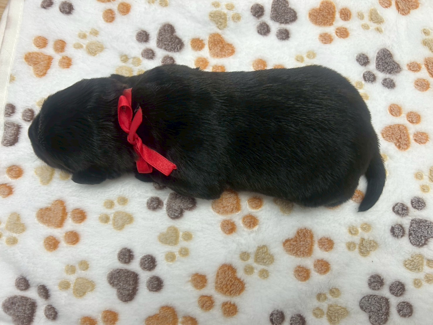 赤ちゃん写真1-3