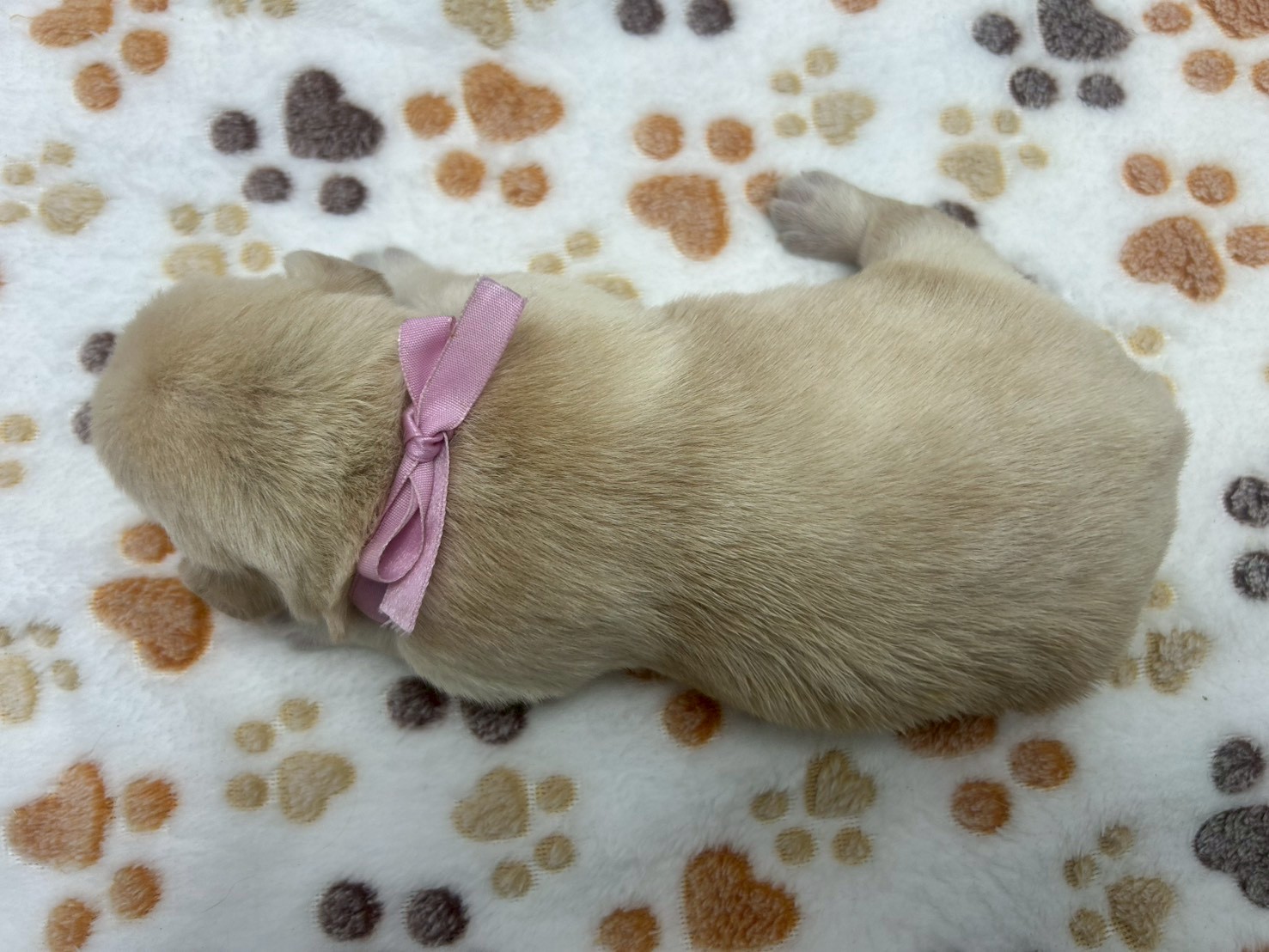 赤ちゃん写真1-3