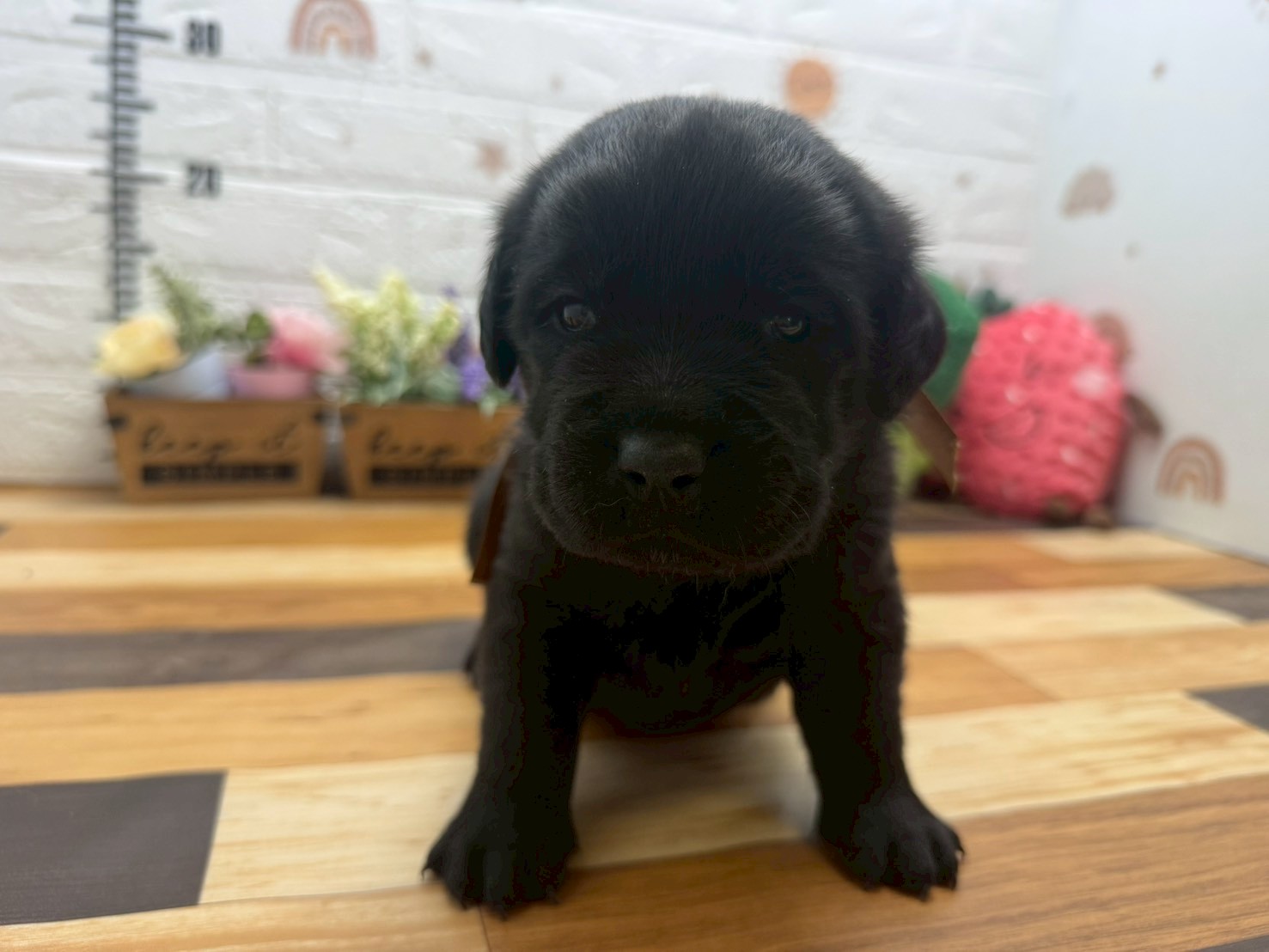 赤ちゃん写真2-1