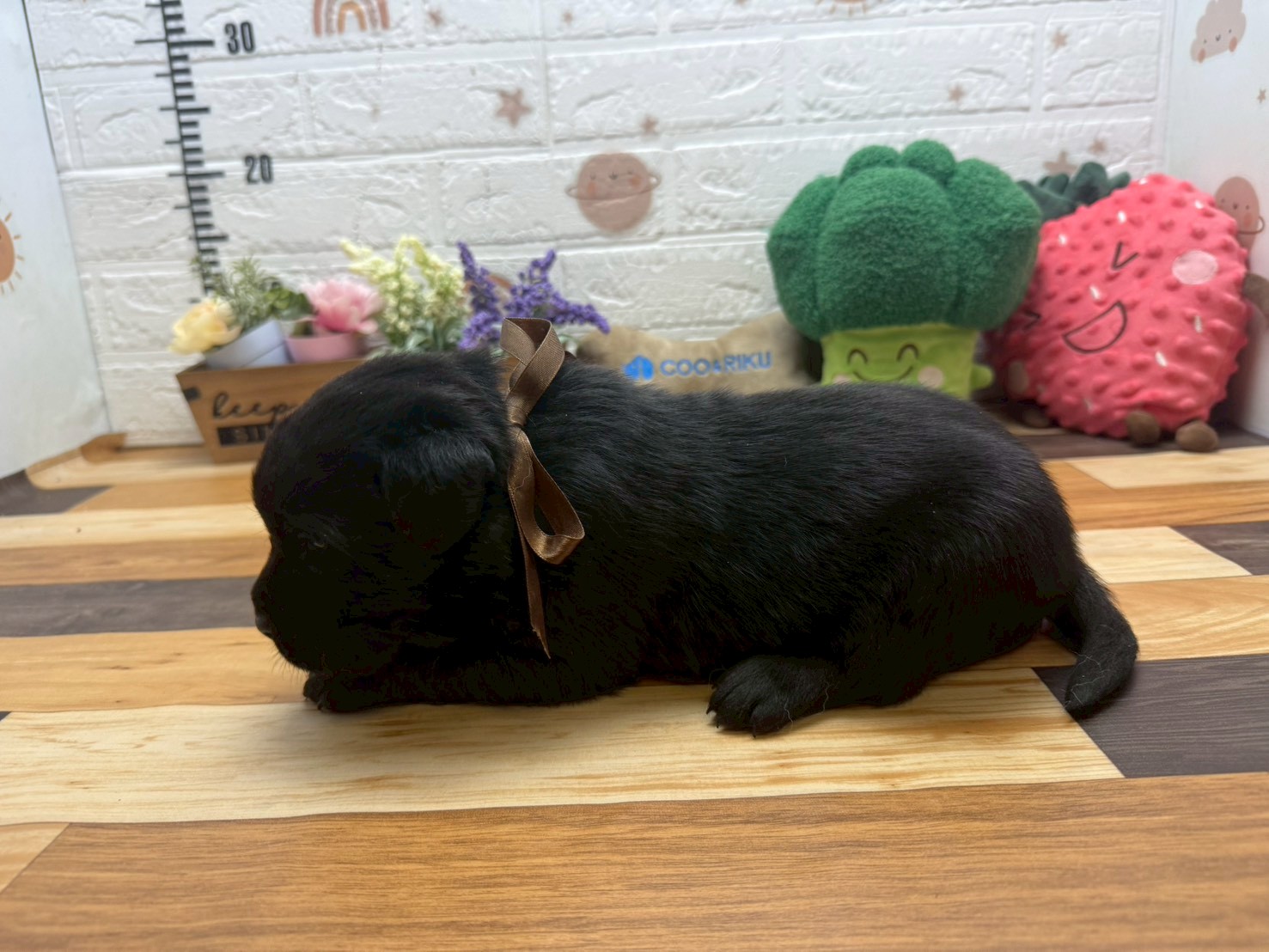 赤ちゃん写真2-2