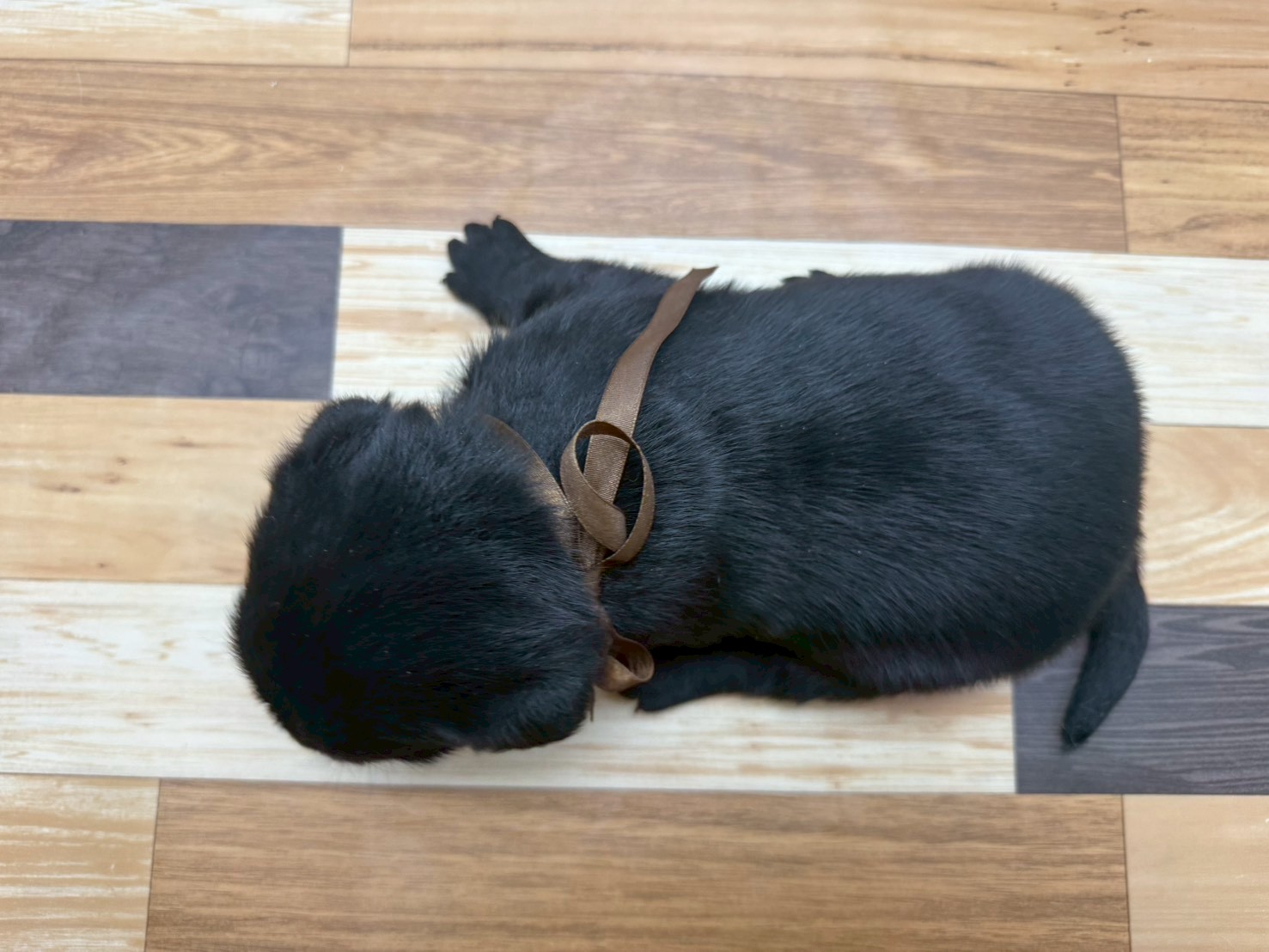 赤ちゃん写真2-3