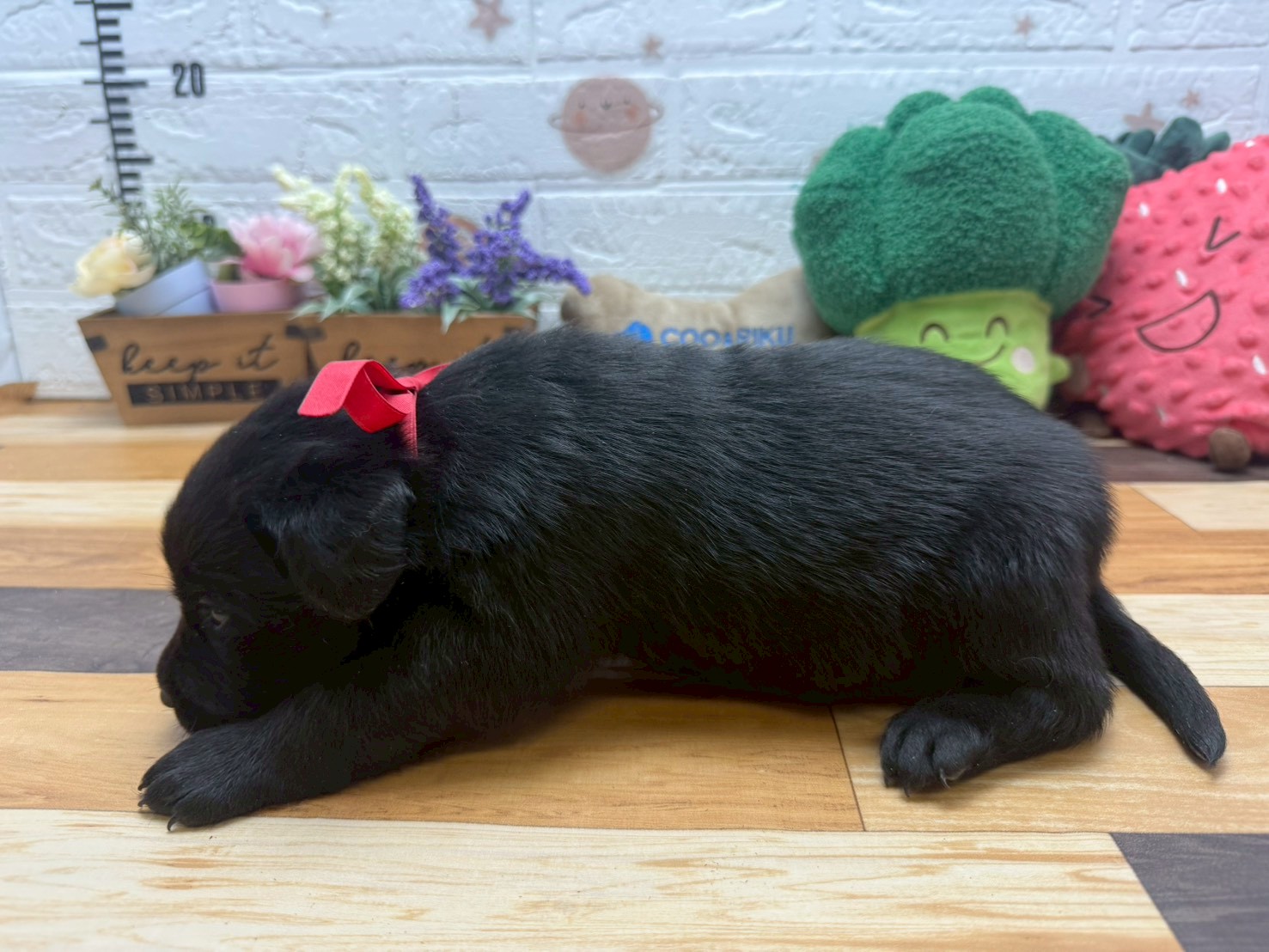 赤ちゃん写真2-2