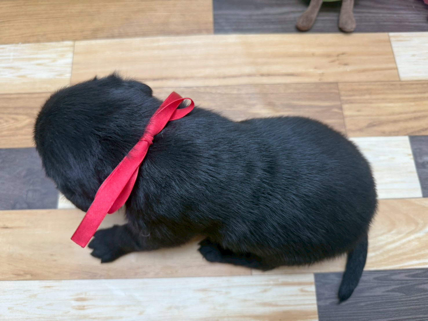 赤ちゃん写真2-3