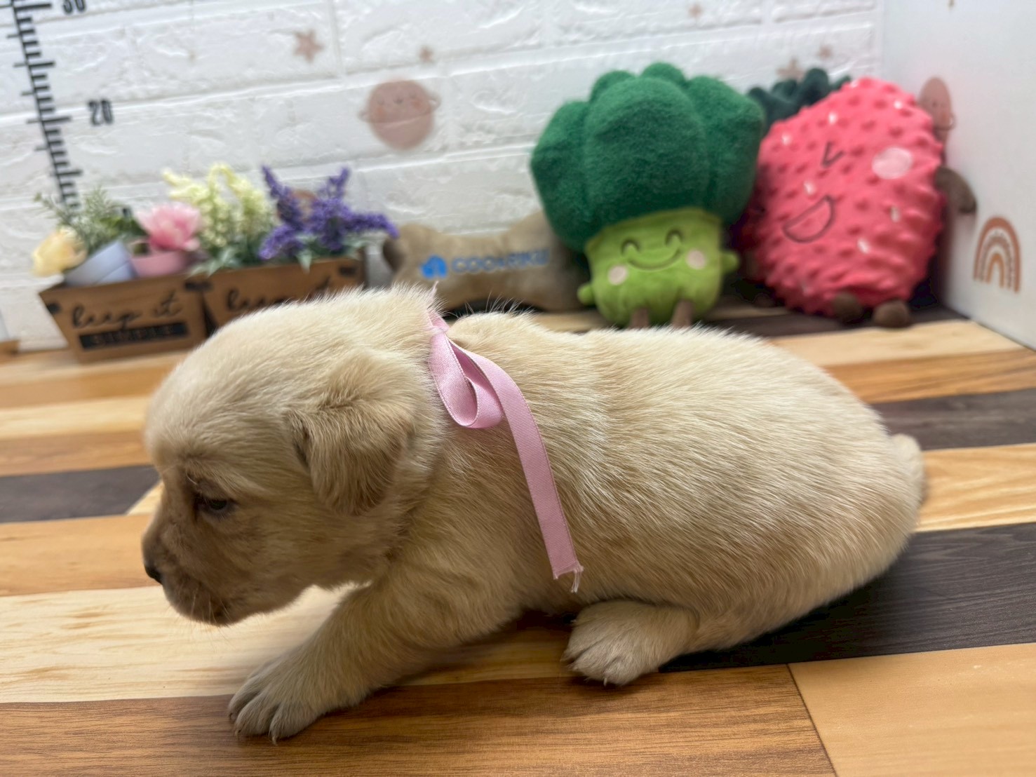 赤ちゃん写真2-2