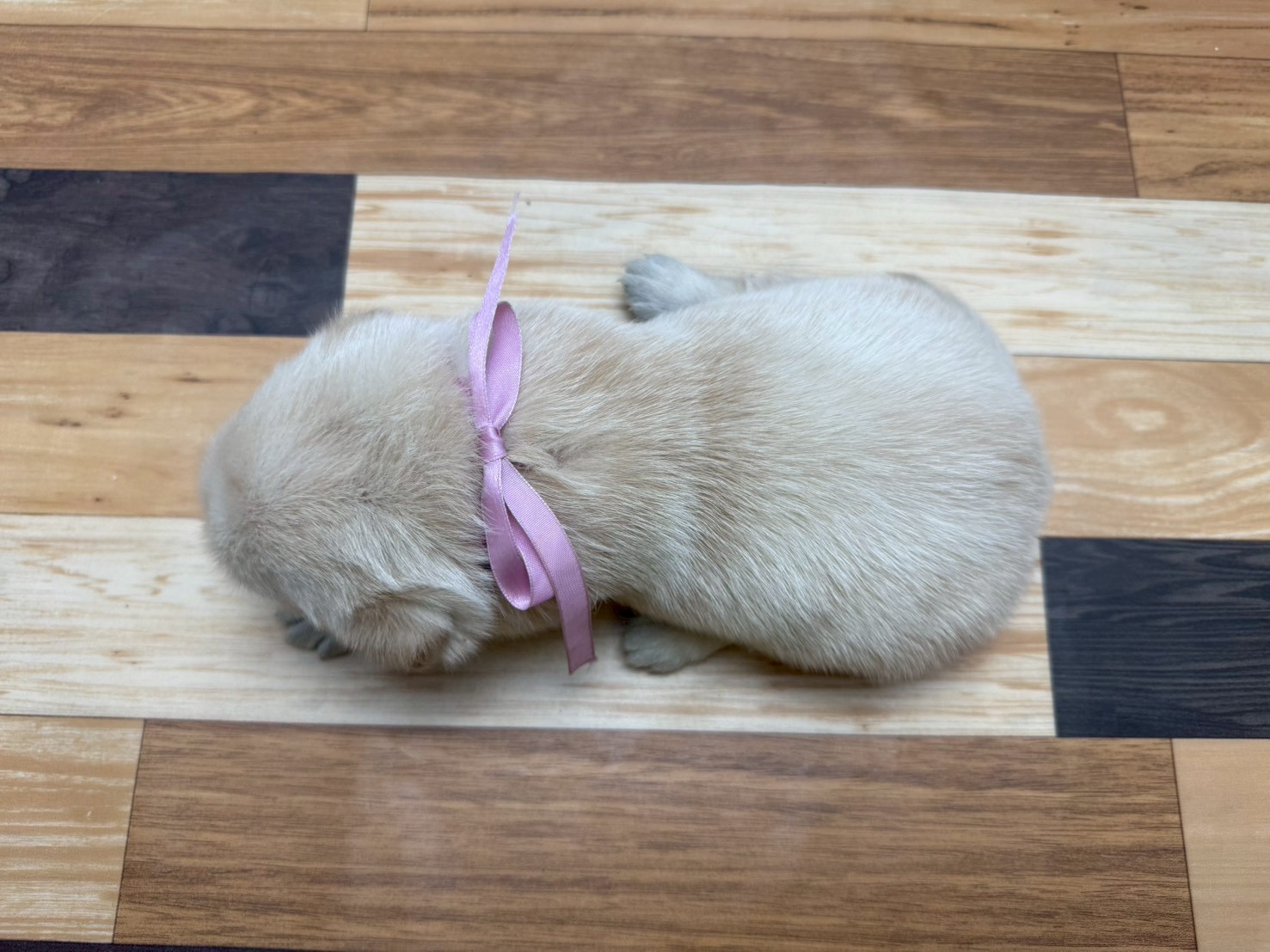 赤ちゃん写真2-3