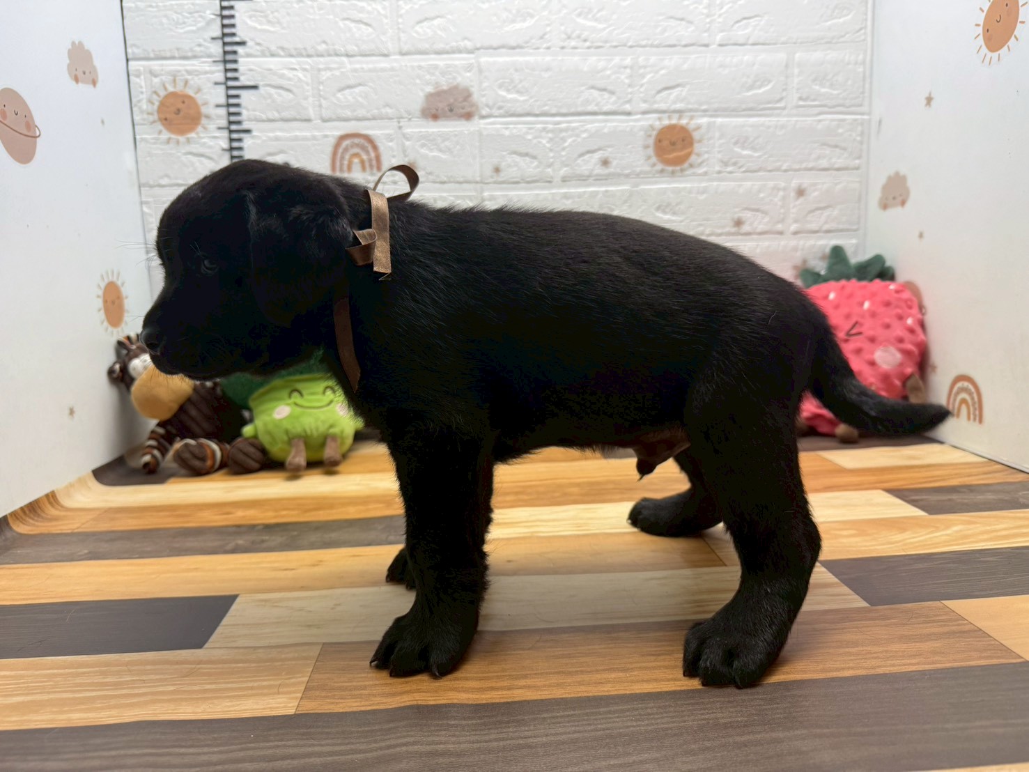 赤ちゃん写真3-2