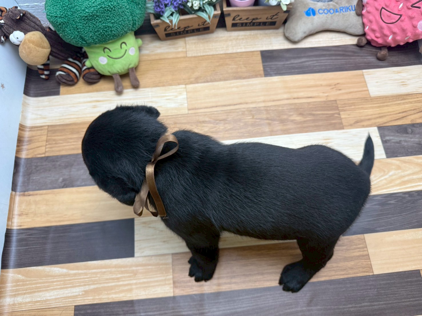 赤ちゃん写真3-3