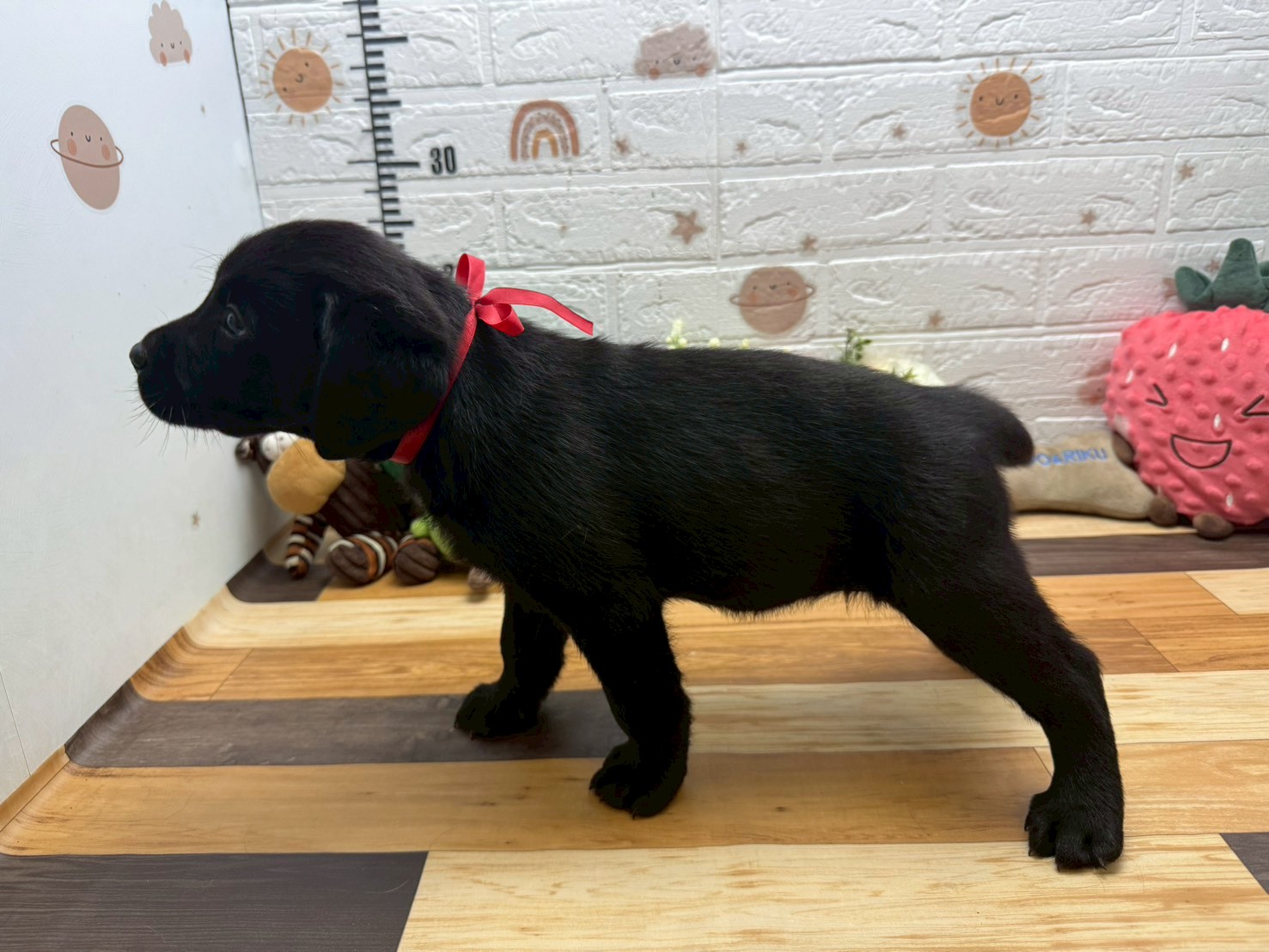 赤ちゃん写真3-2