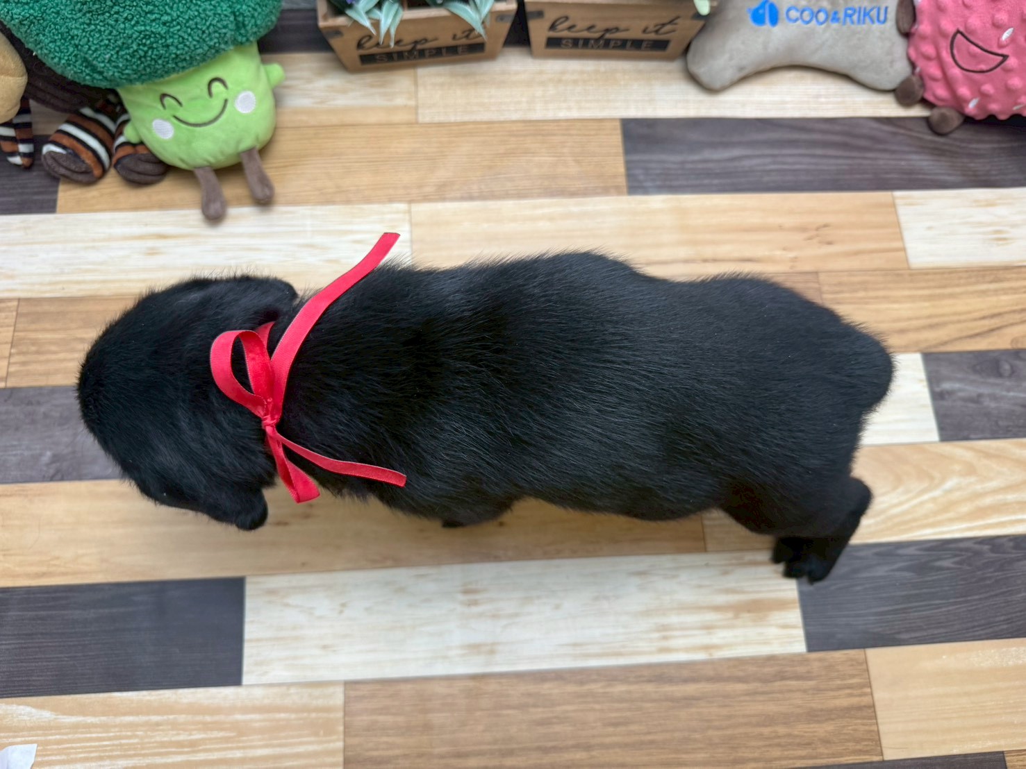 赤ちゃん写真3-3