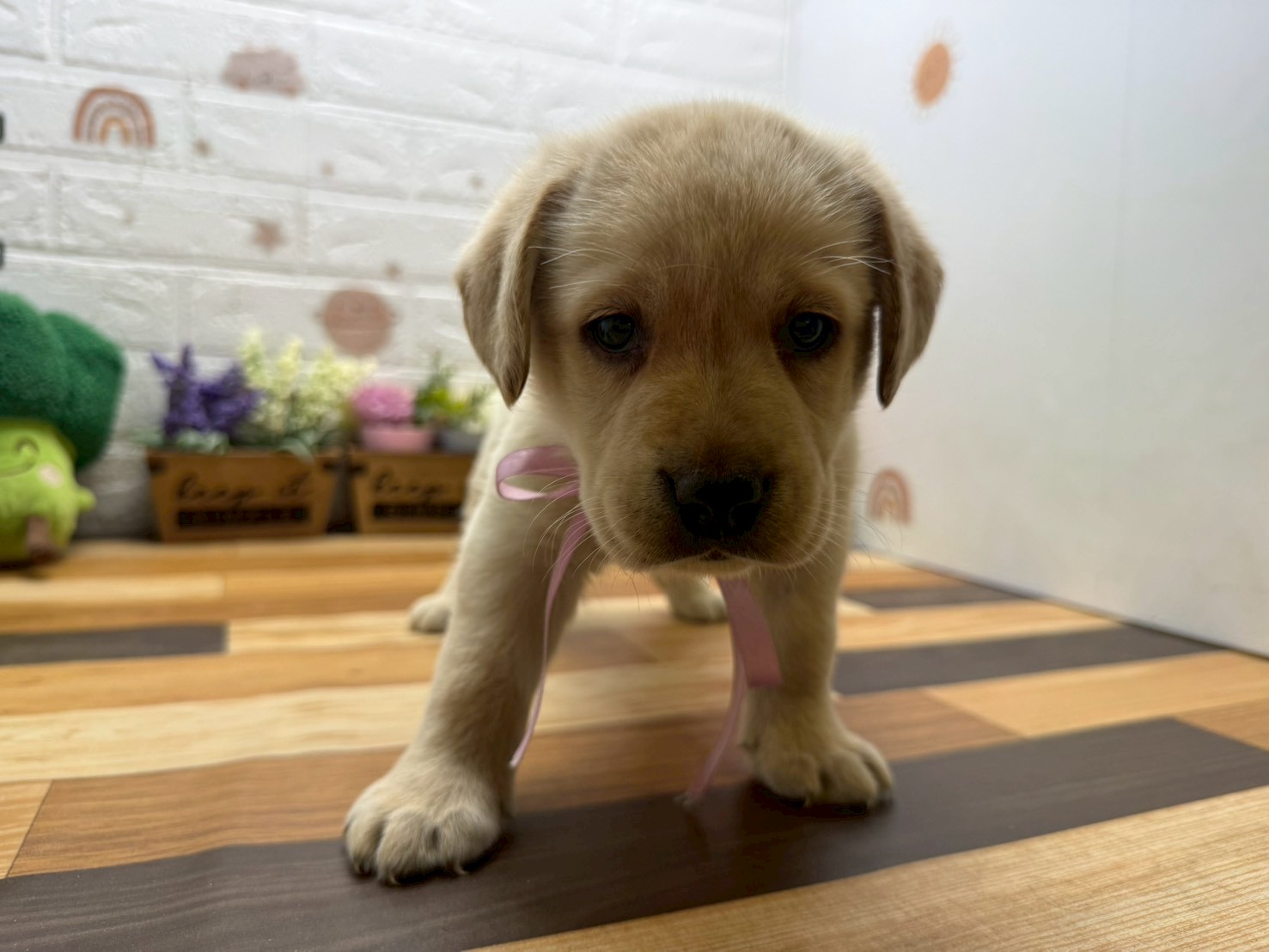 赤ちゃん写真3-1