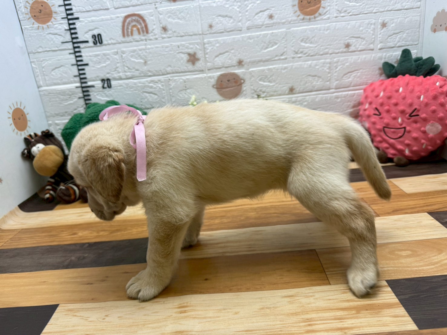 赤ちゃん写真3-2