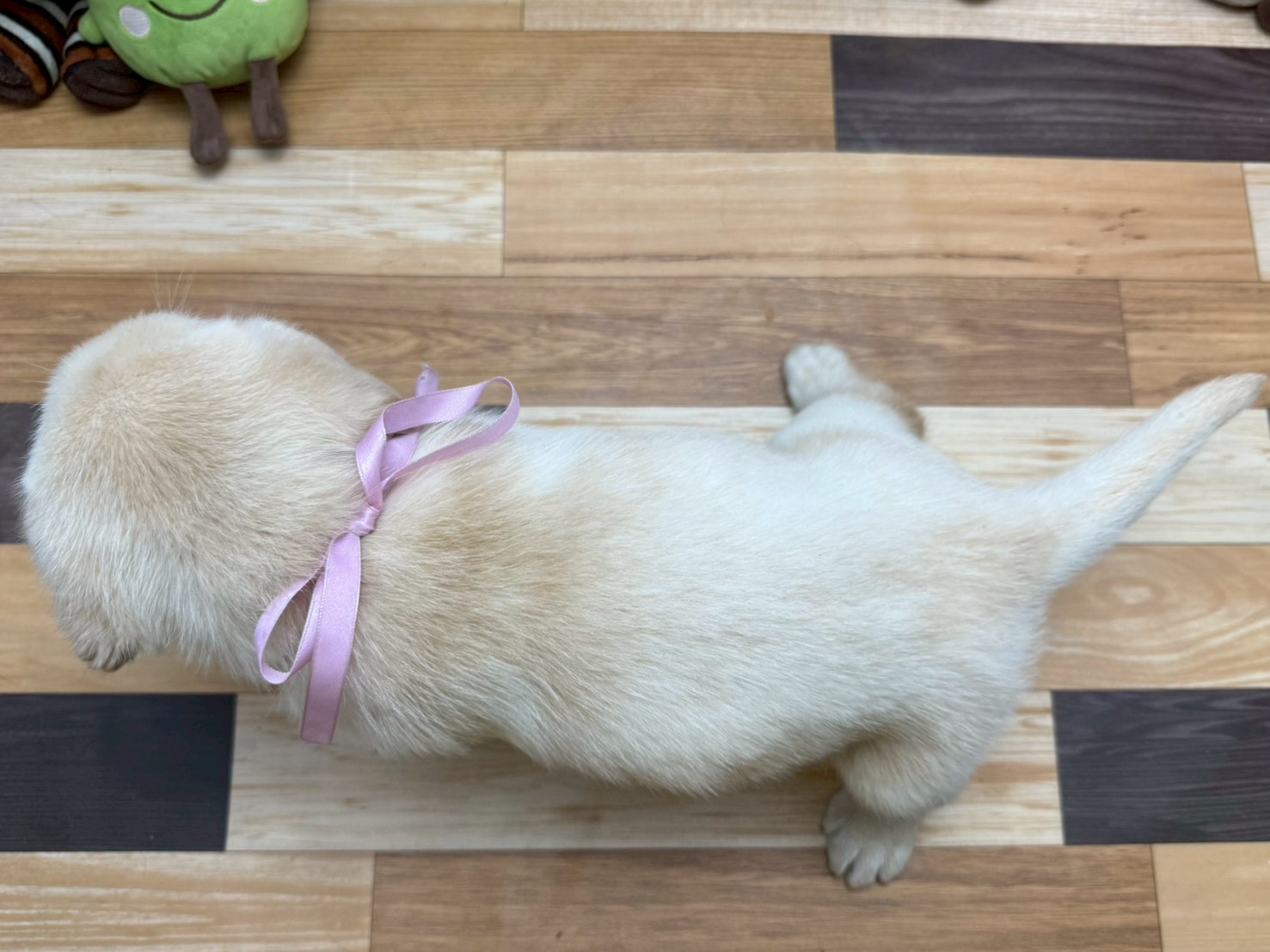 赤ちゃん写真3-3