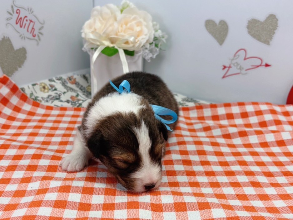 赤ちゃん写真1-1