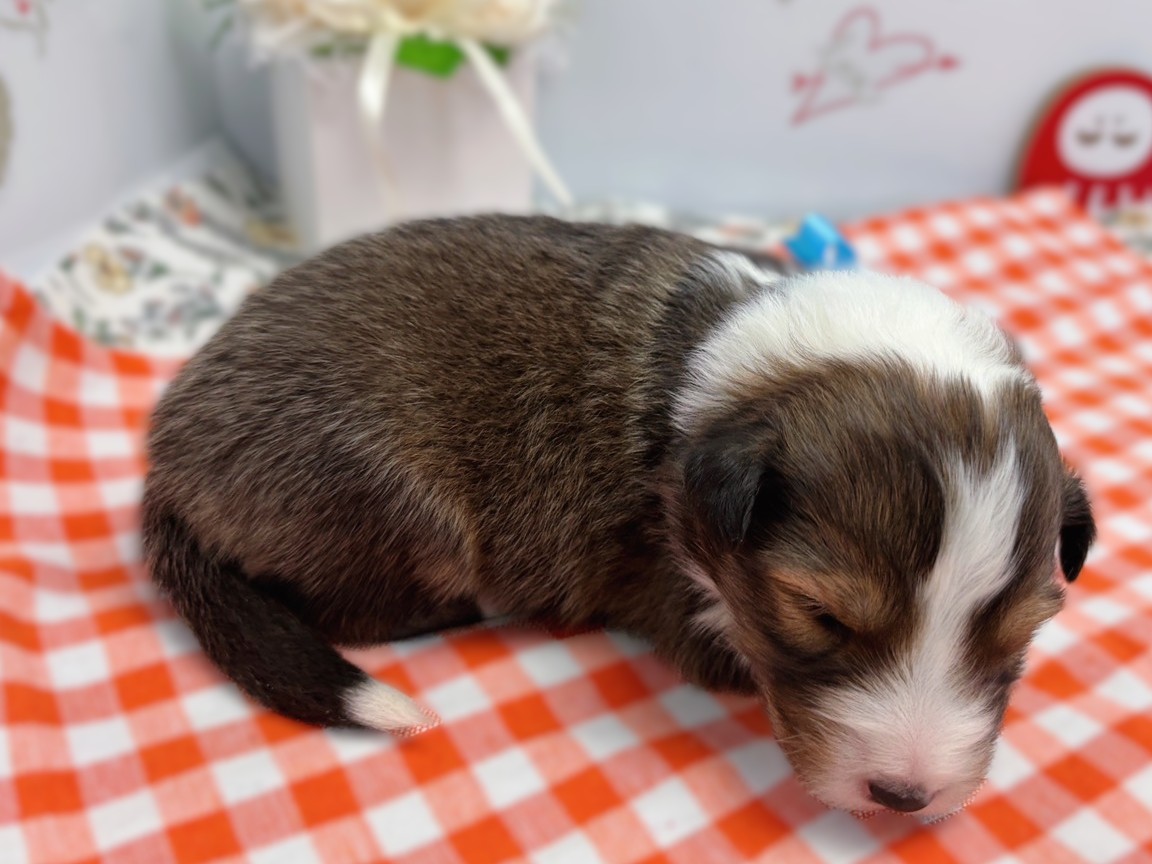 赤ちゃん写真1-2